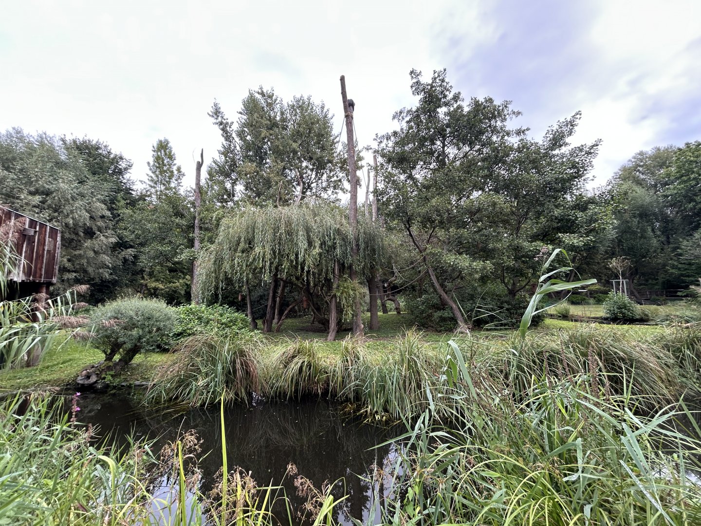 Silvery Gibbon Exhibit