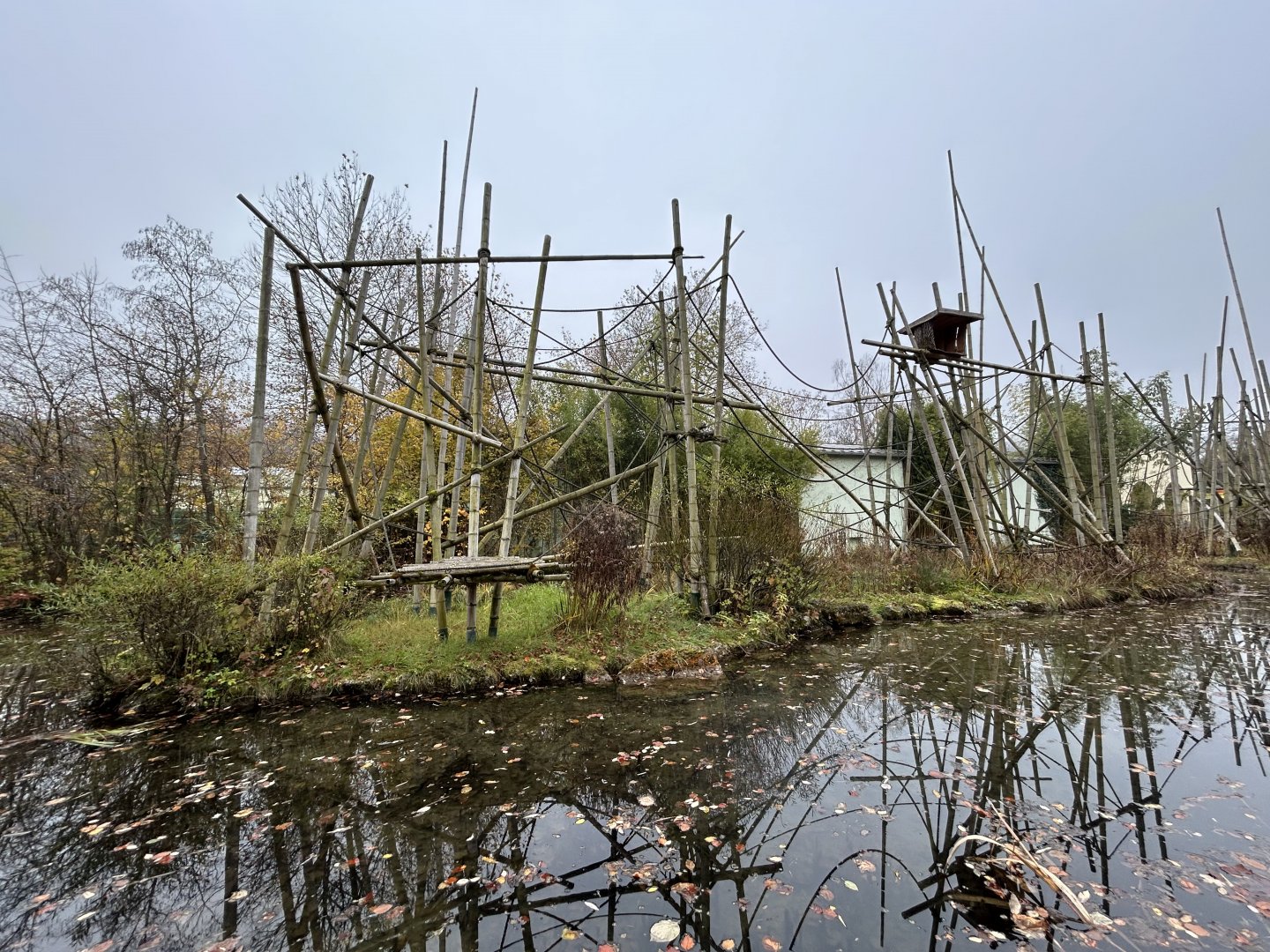 Silvery Gibbon Exhibit