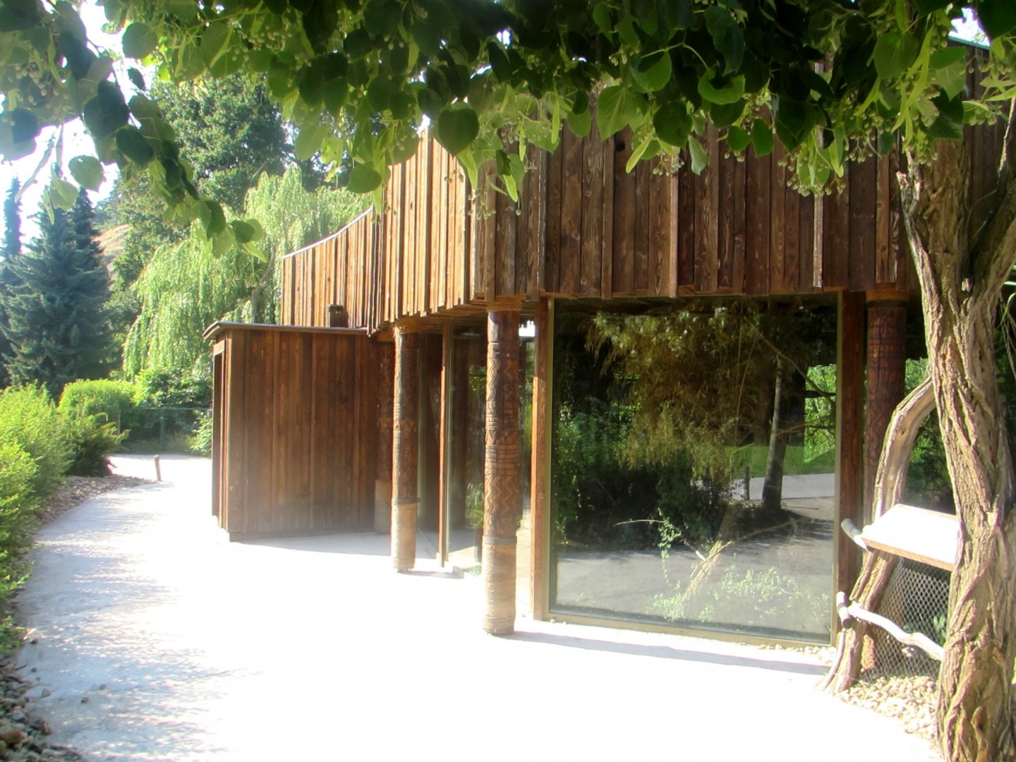 Silvery Gibbon house - July/2017