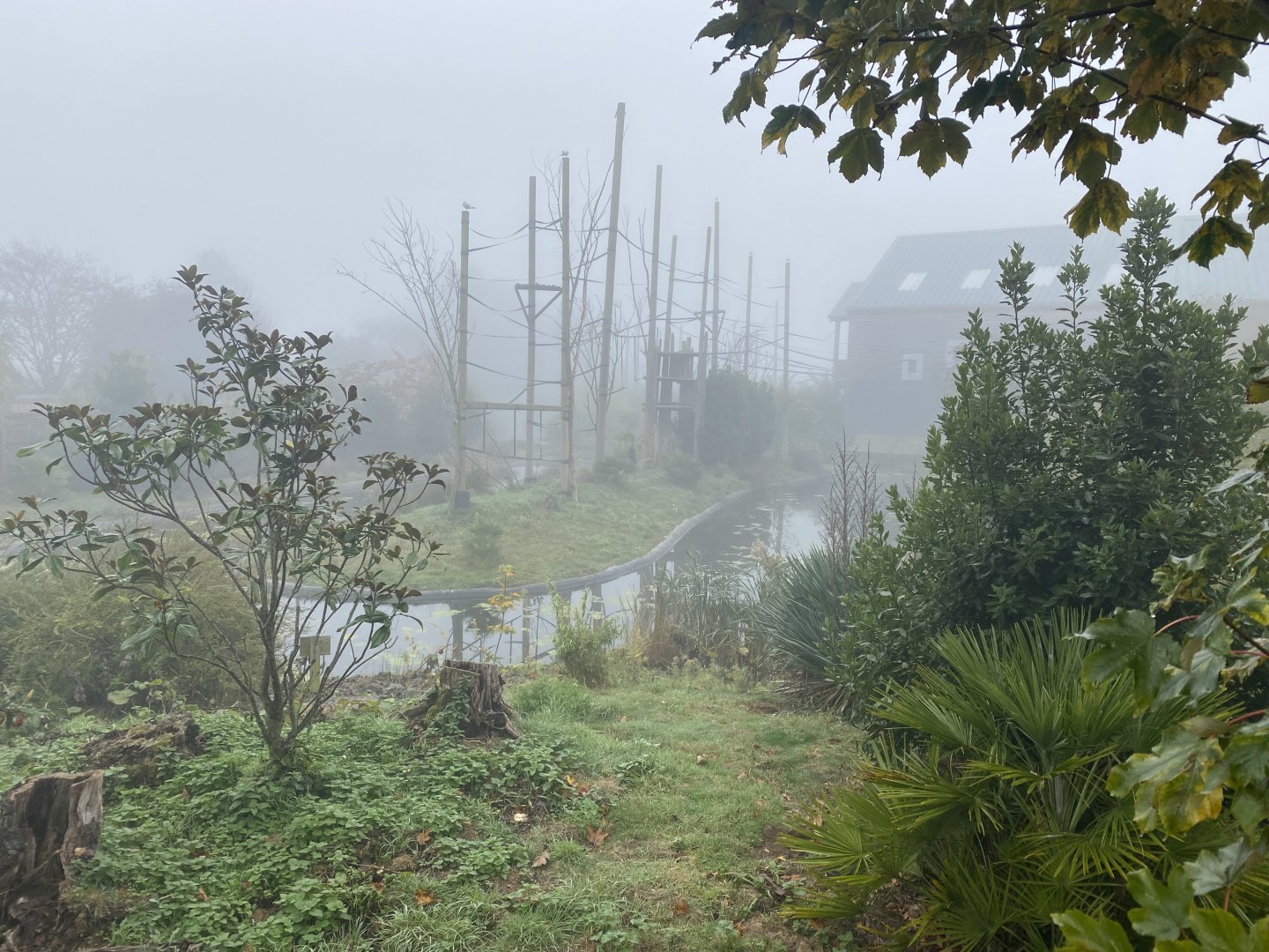 Silvery gibbon island