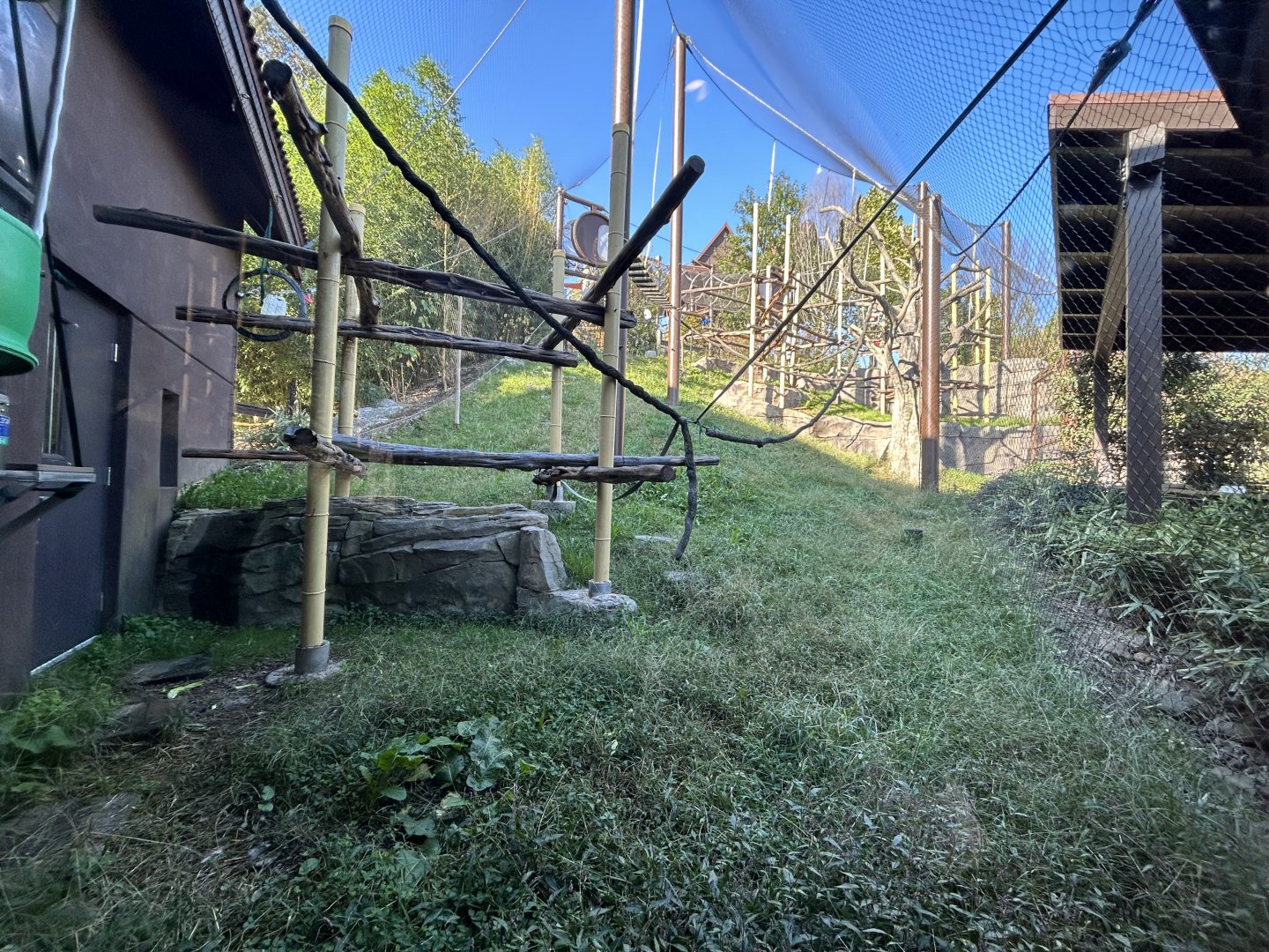 Silvery Langur Exhibit - Asian Trek