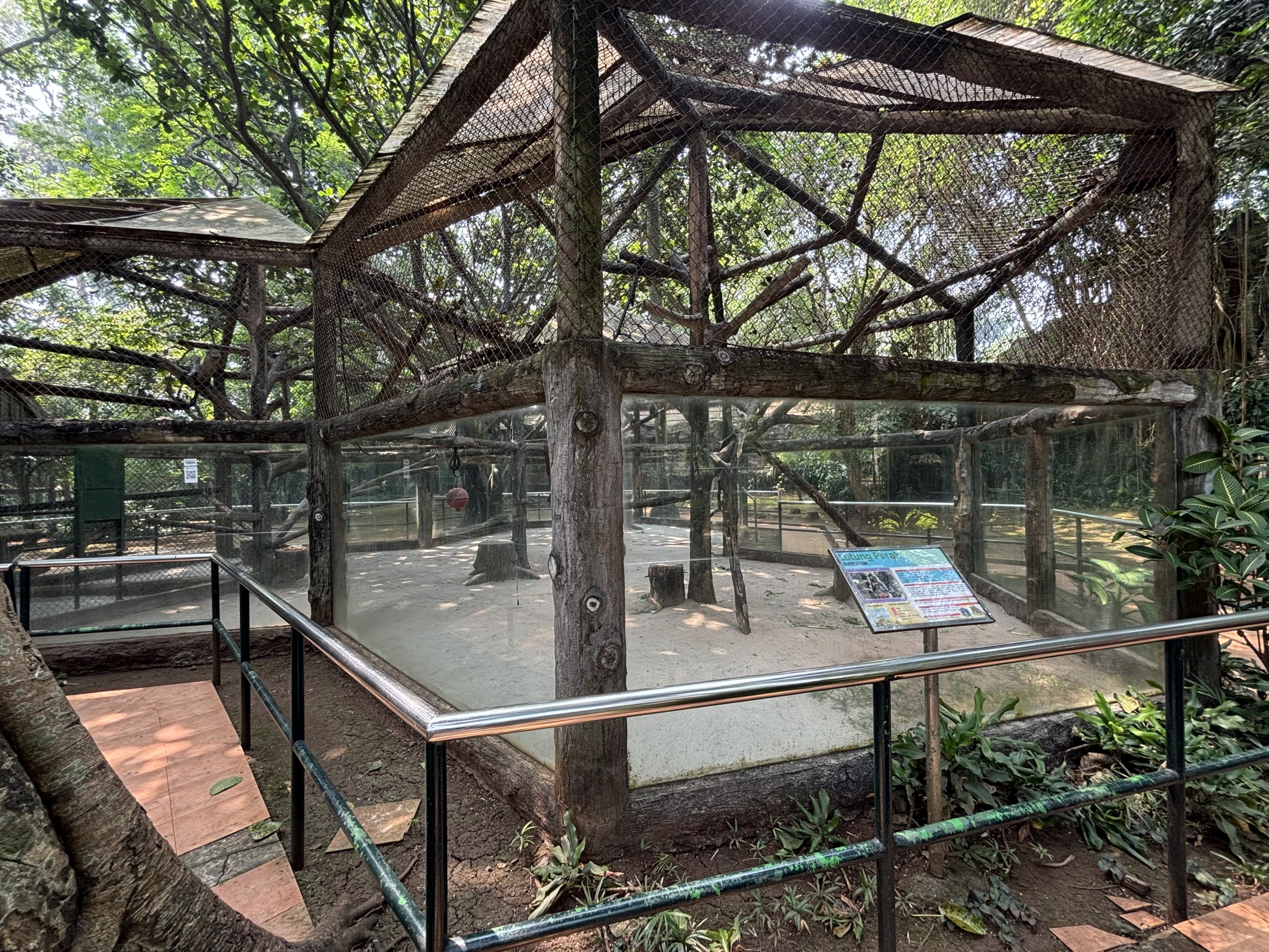 Silvery Lutung Exhibit #3