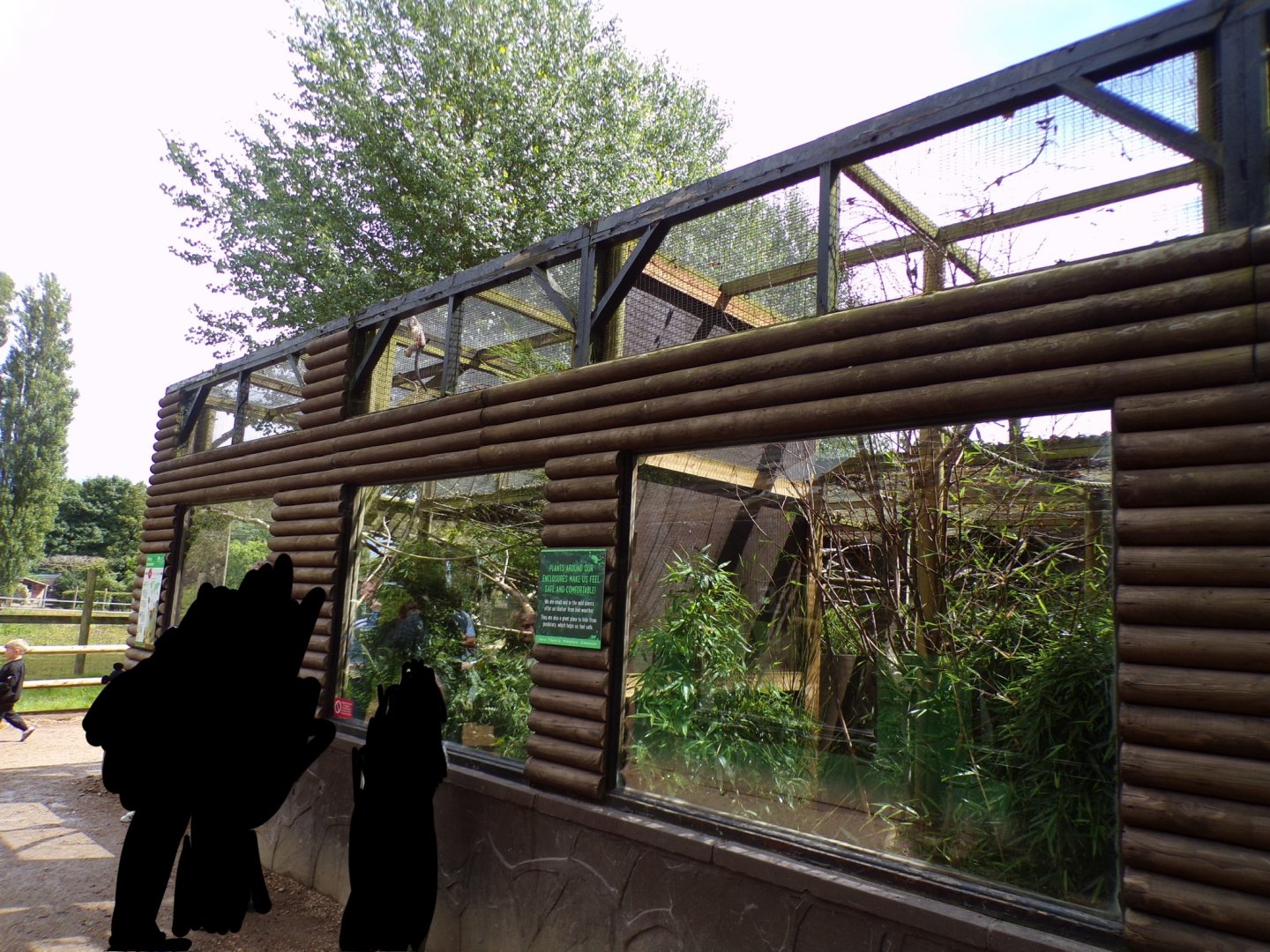 Silvery marmoset enclosure 7.7.24