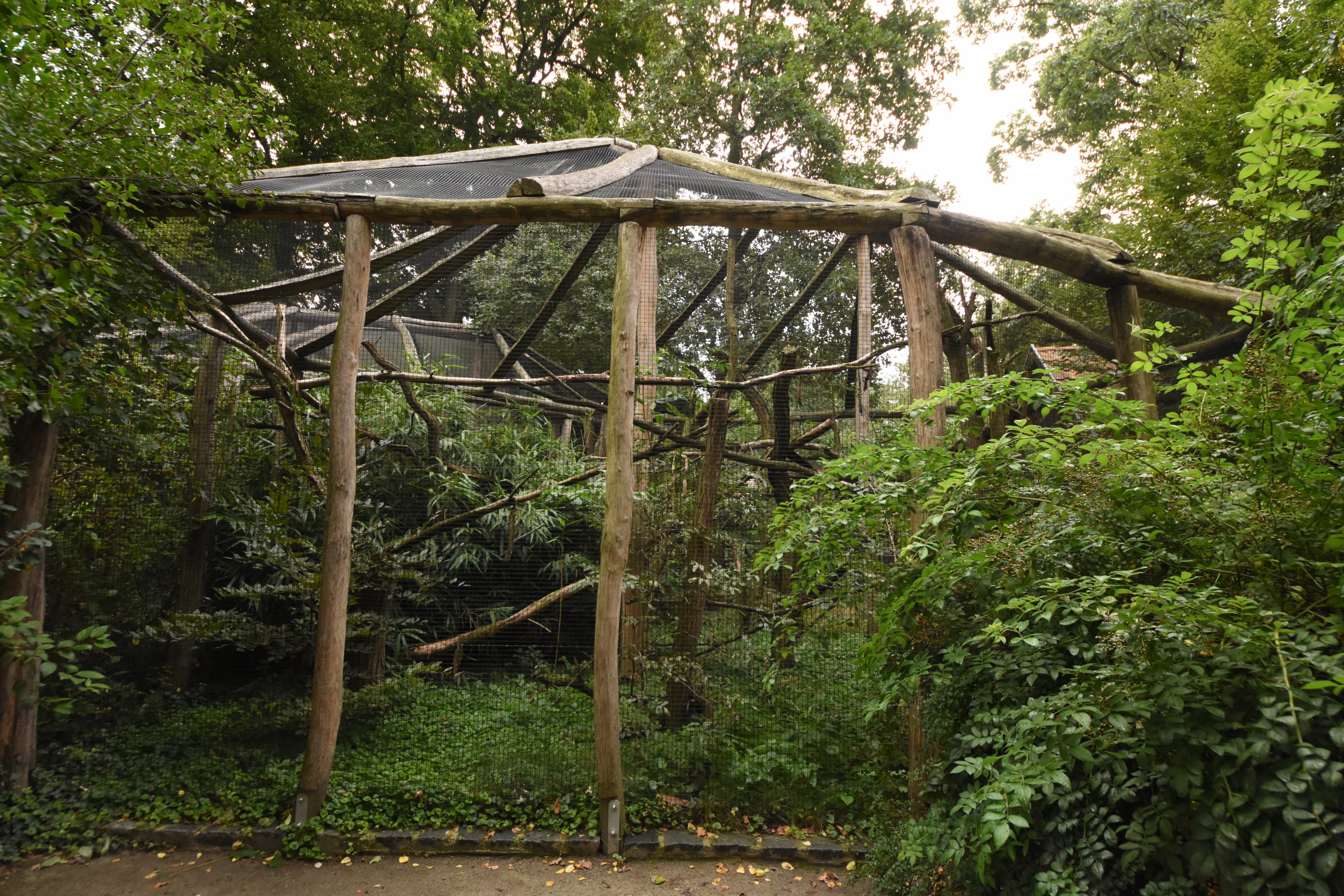 Silvery marmoset enclosure