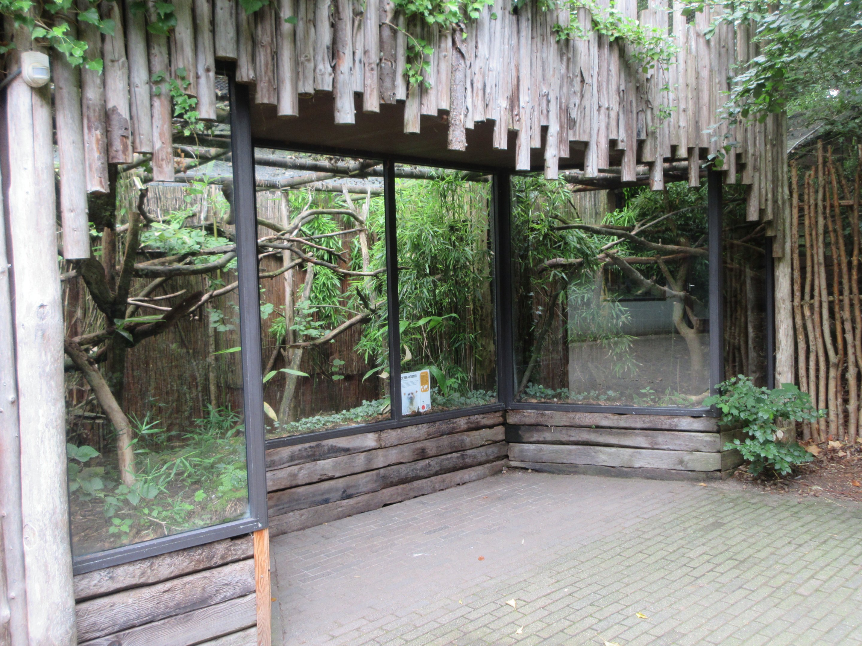 Silvery Marmoset Exhibit