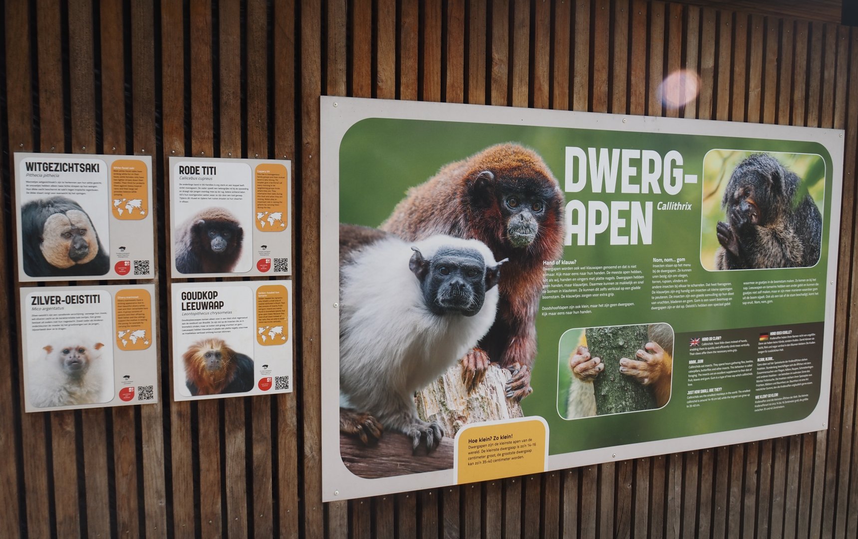 Silvery marmoset, Golden-headed lion tamarin, White-faced saki and Coppery titi signage, 2024-08-18