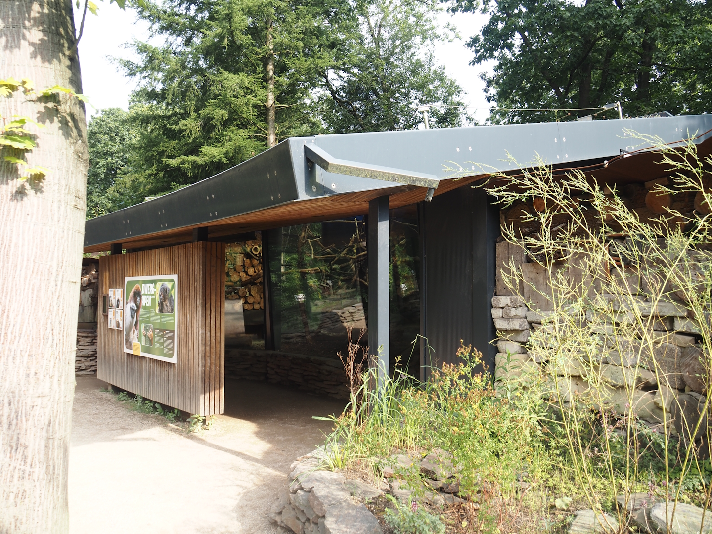 Silvery marmoset, Golden-headed lion tamarin, White-faced saki, Coppery titi and red-footed tortoise house, 2024-08-18