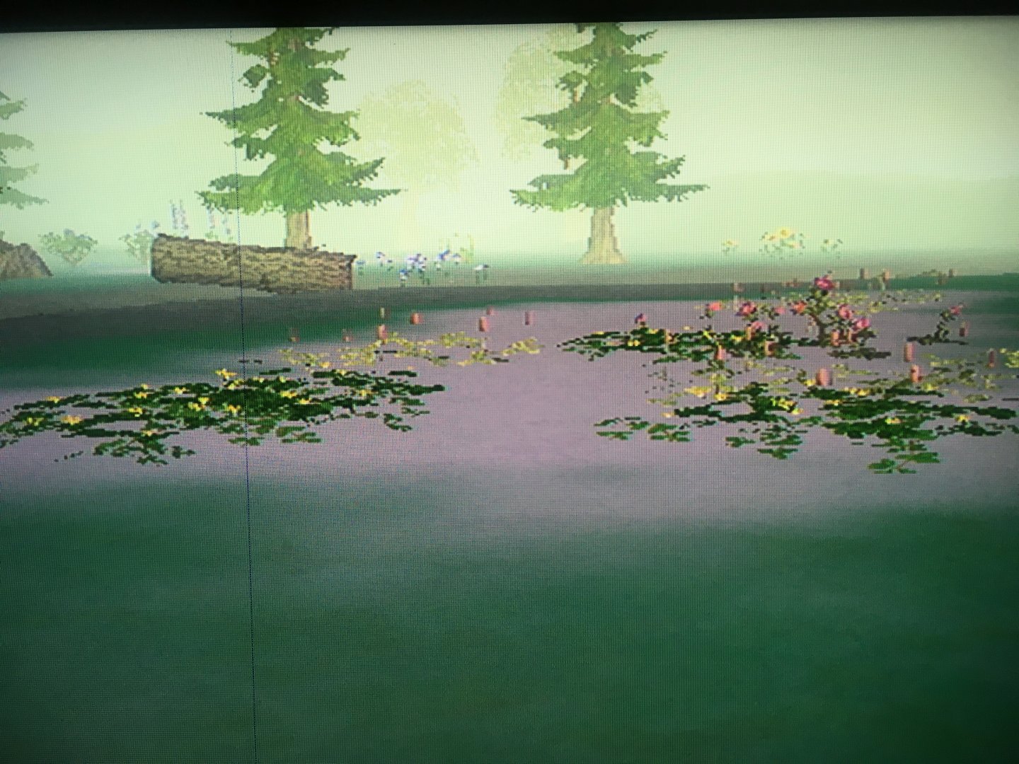 SimAnimals - Foggy Creek