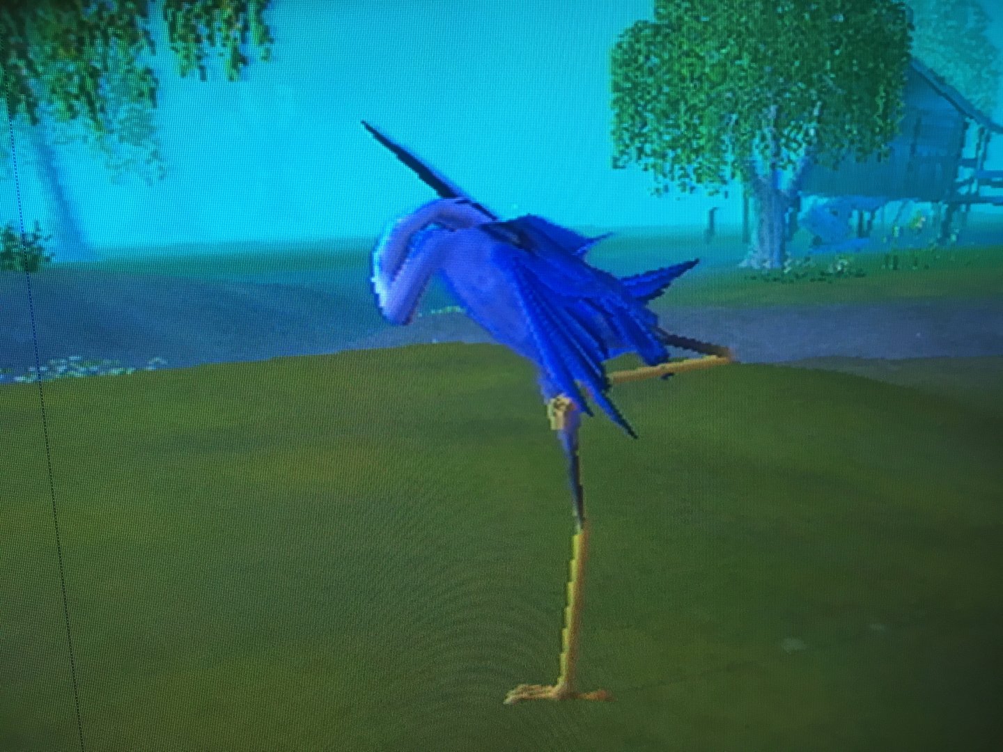 SimAnimals - Sleeping Heron