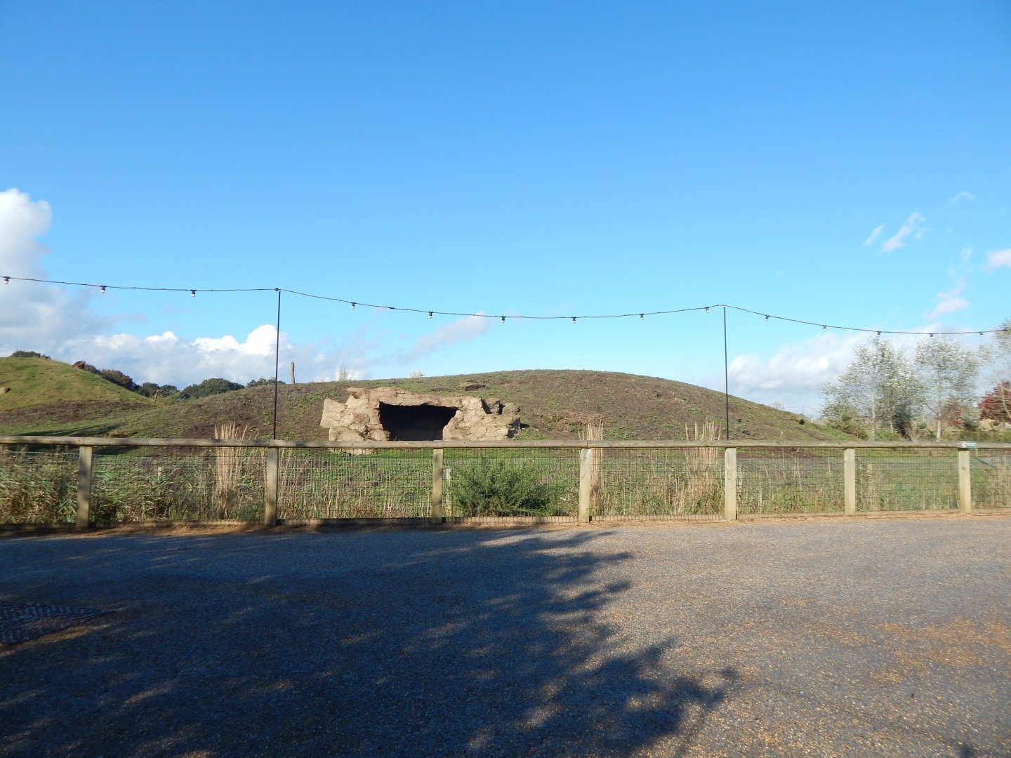 Simien Mountains - Gelada habitat 121024