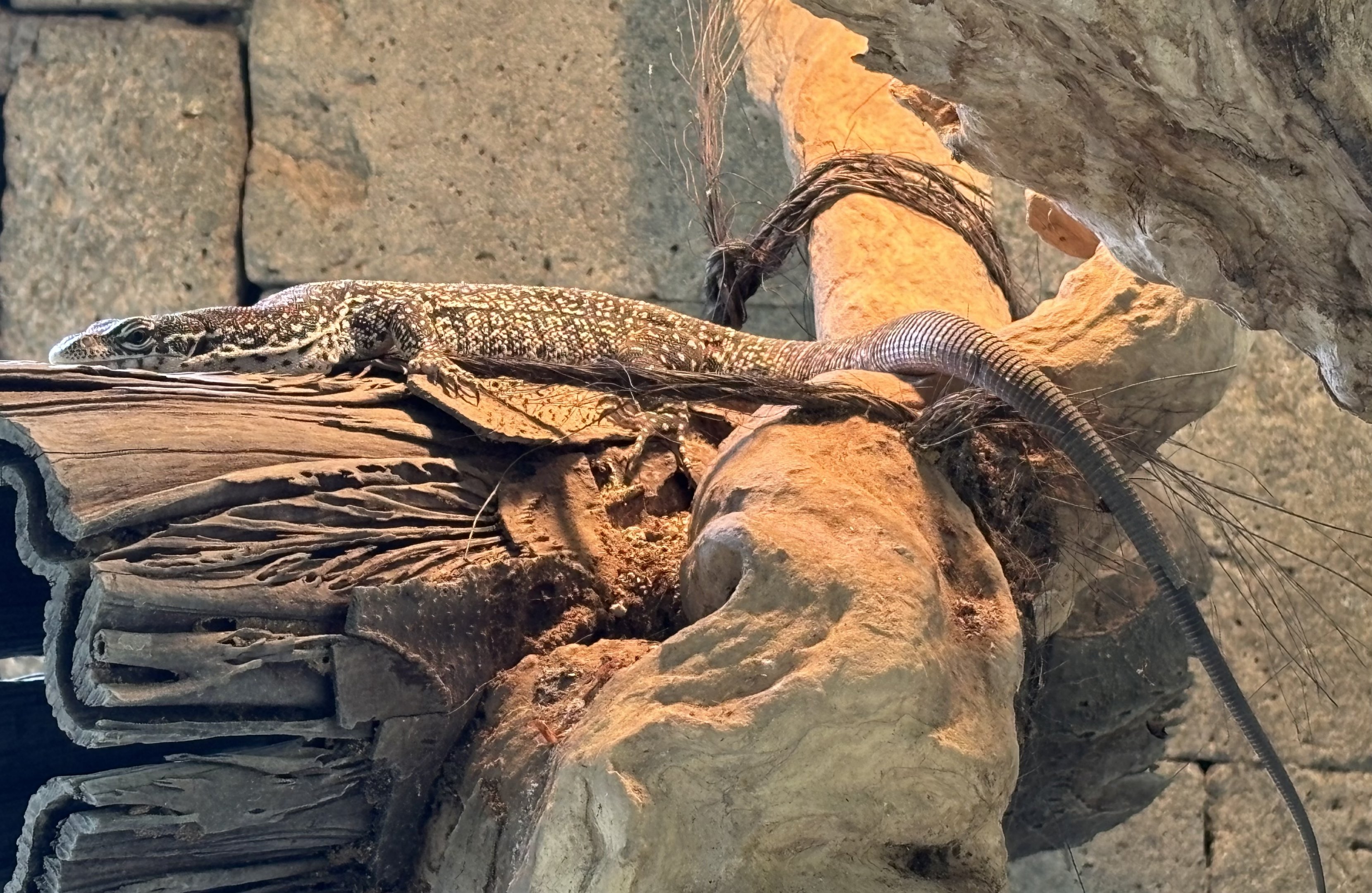Similis Monitor