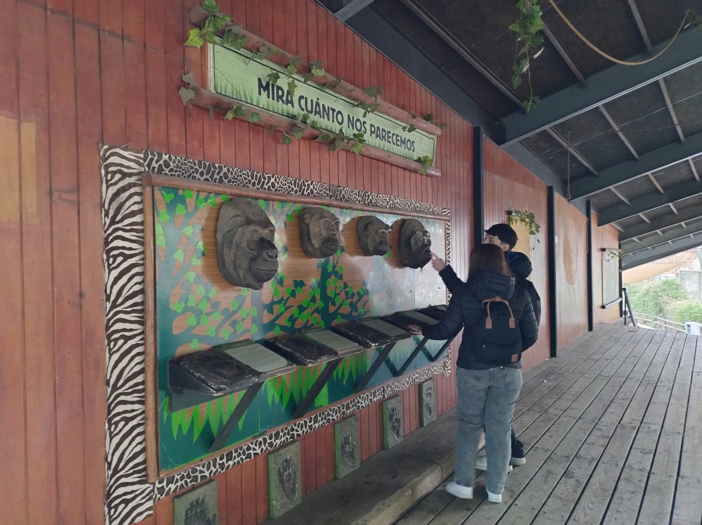 "Simios" educational setup - Santiago Zoo (Zoologico nacional)