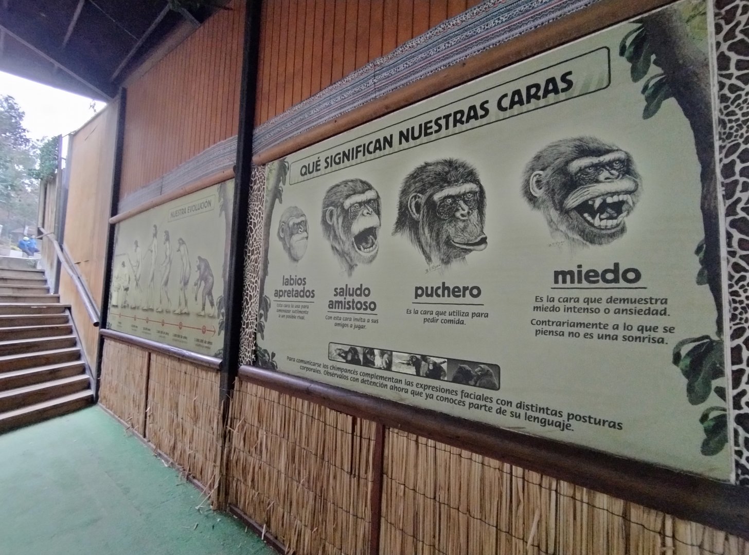 "Simios" educational setup - Santiago Zoo (Zoologico nacional)
