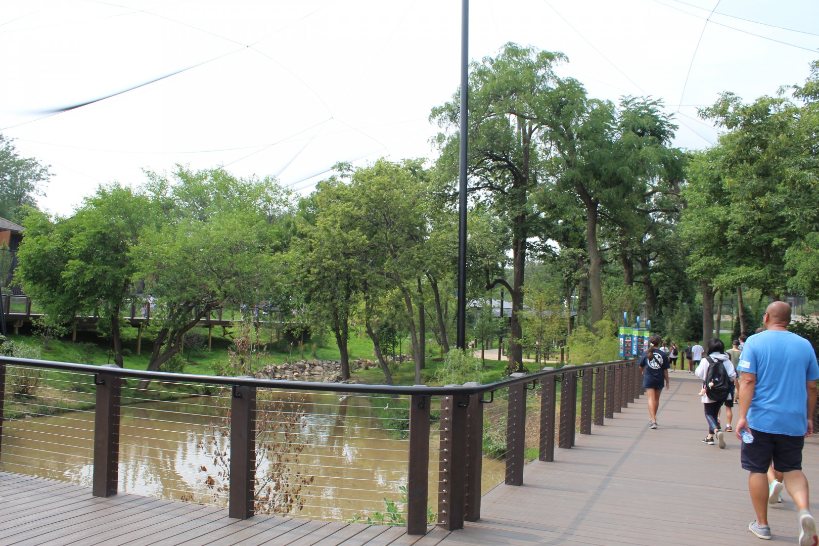 Simmons Aviary Overview