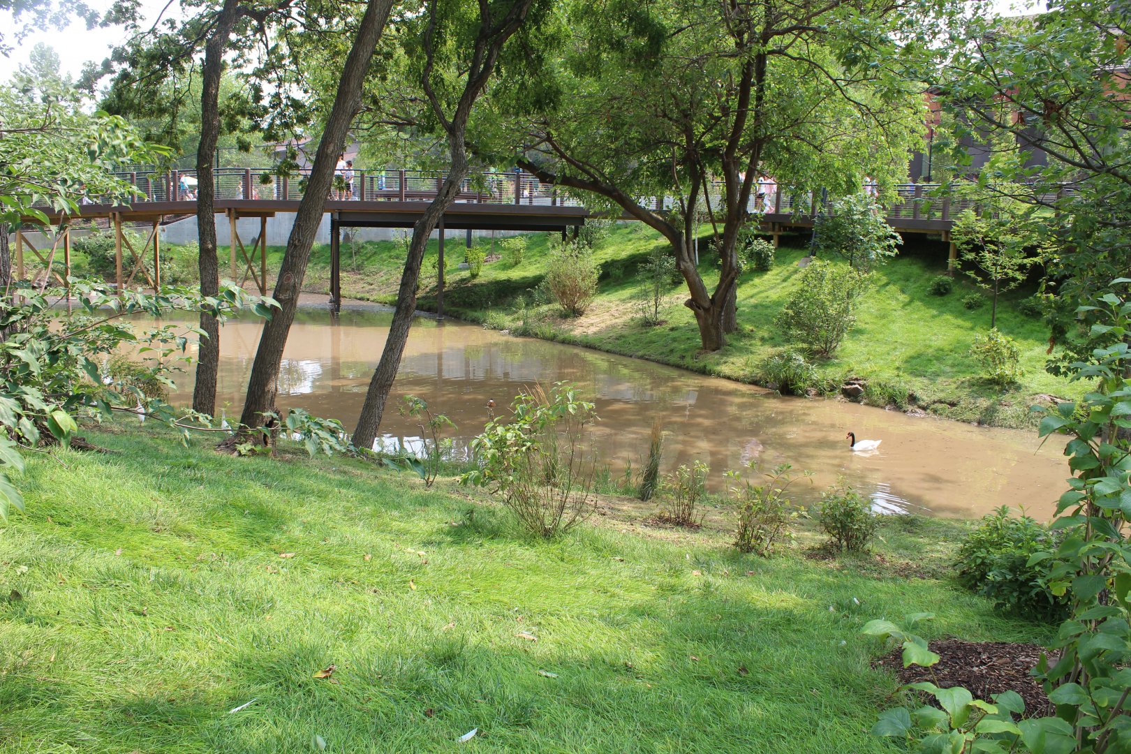 Simmons Aviary Overview