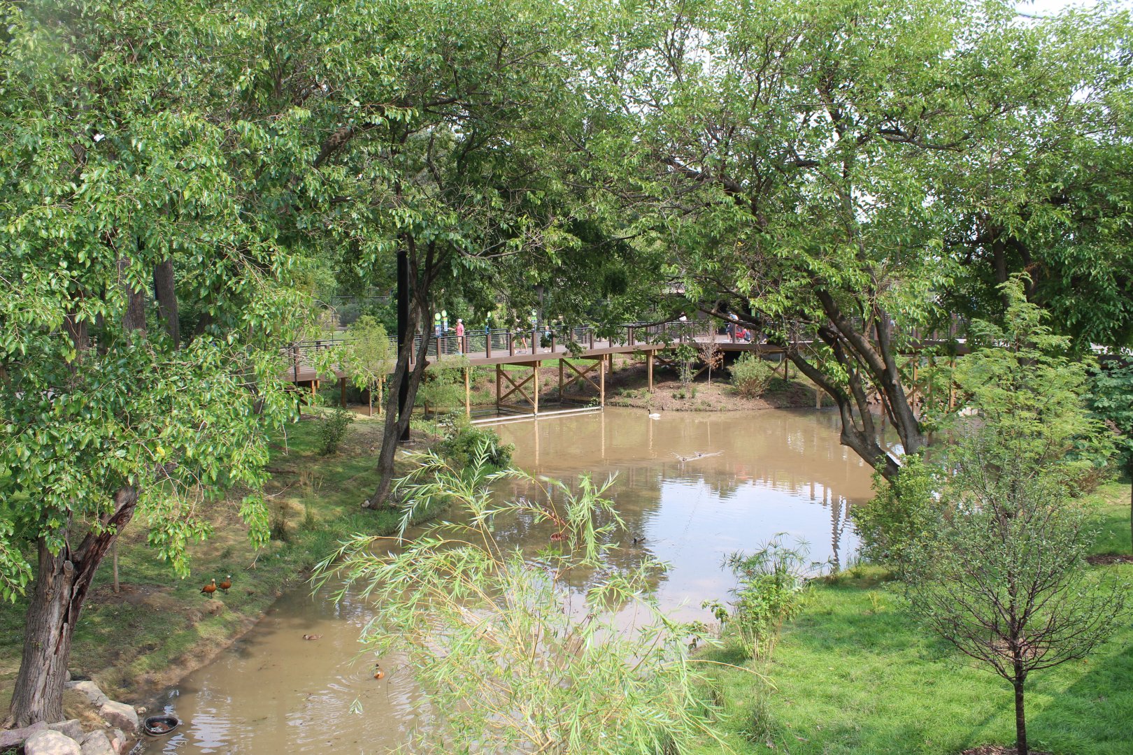 Simmons Aviary Overview