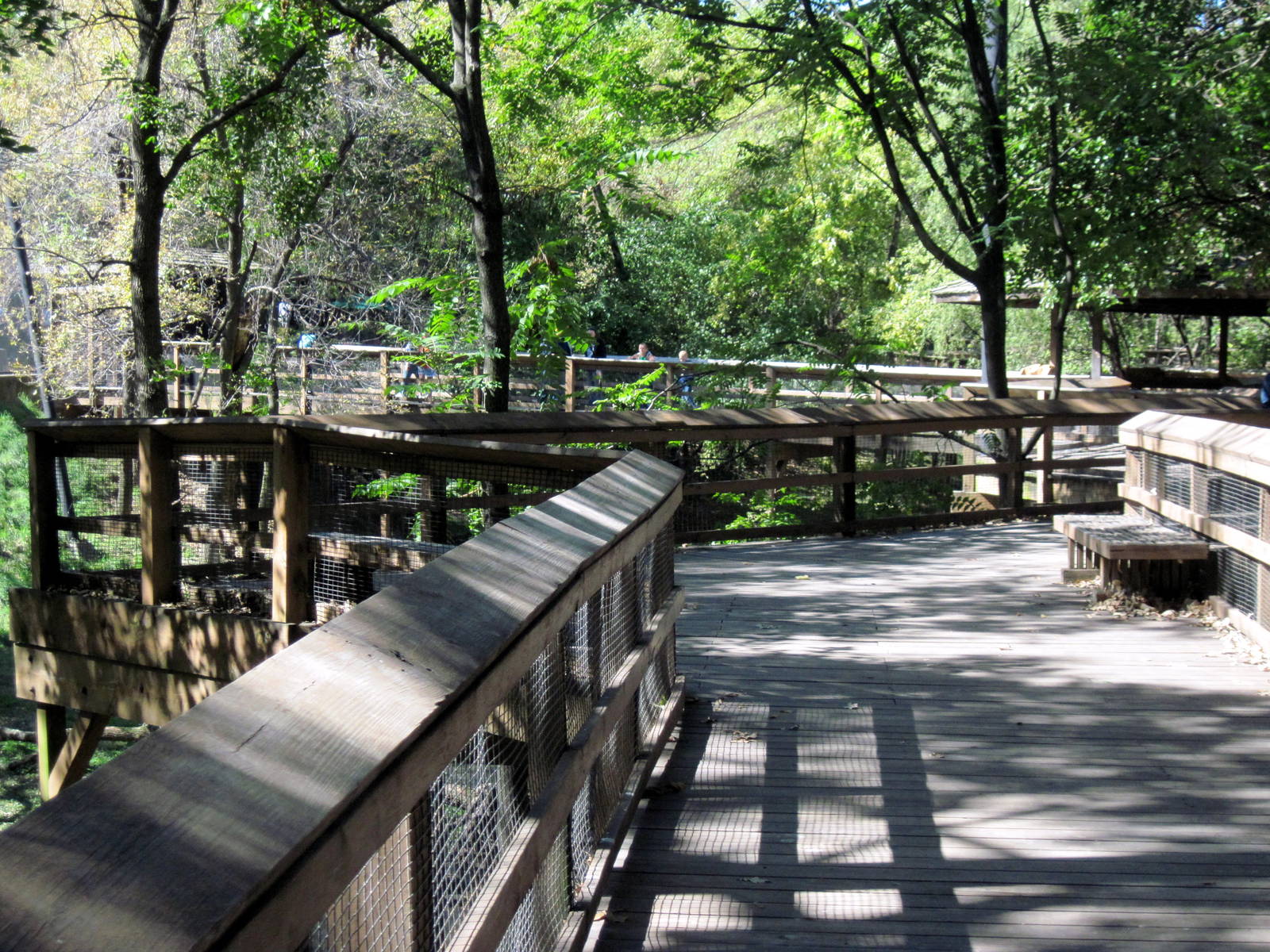 Simmons' Aviary-Path