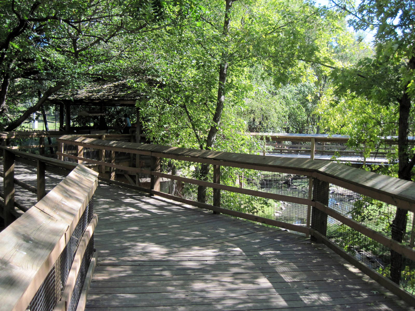 Simmons' Aviary-Path