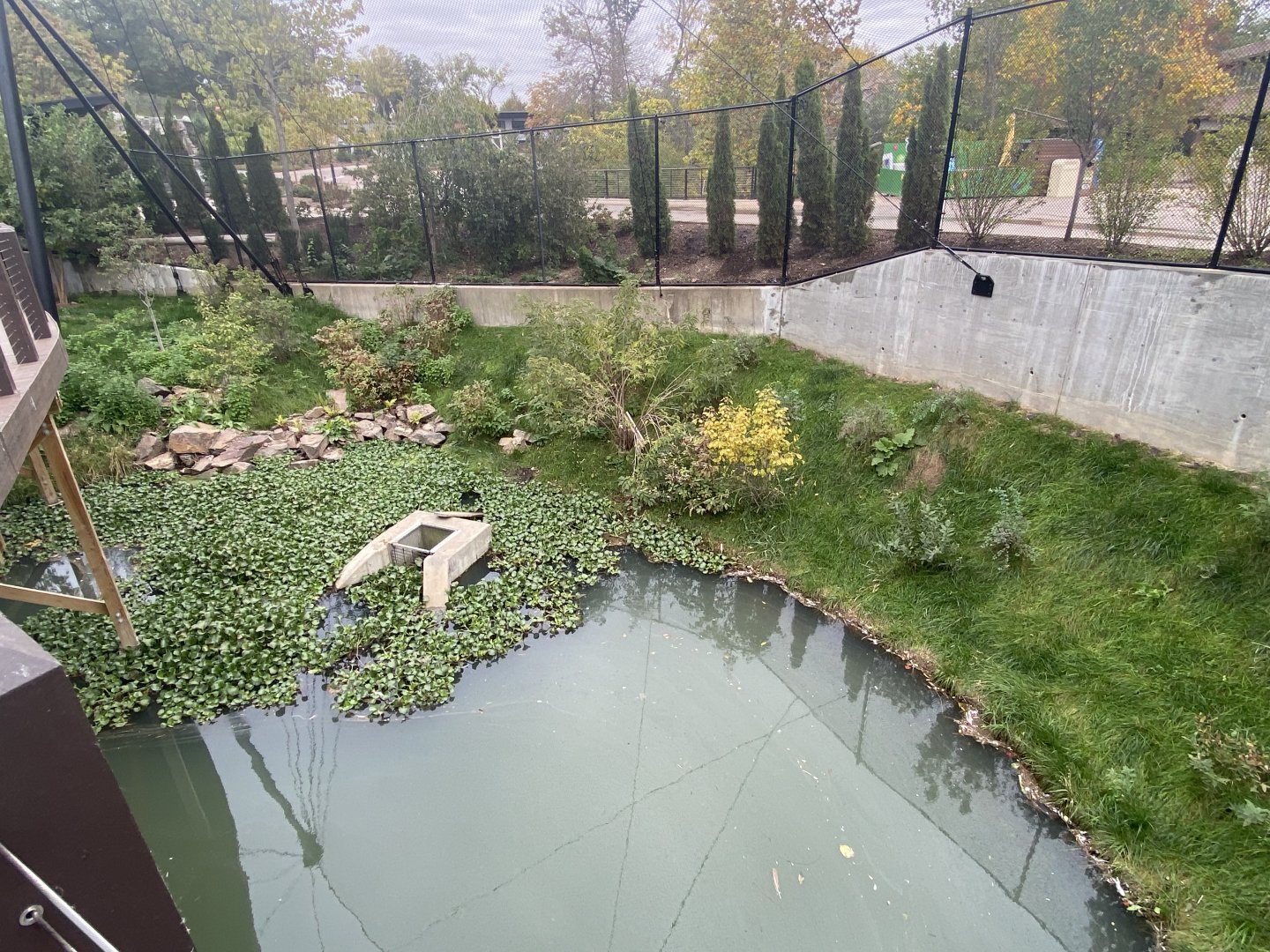Simmon’s Aviary - Pond