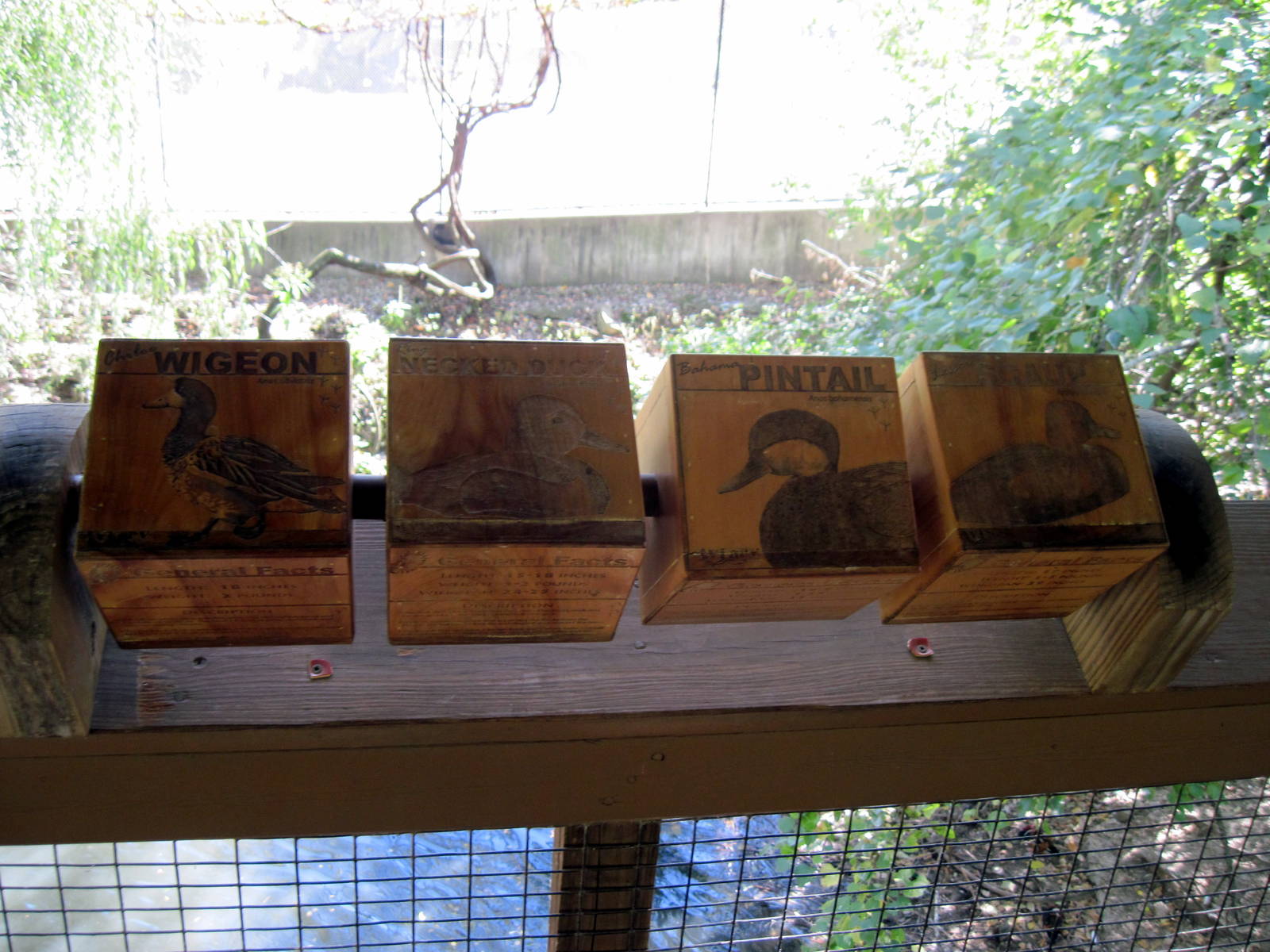 Simmons' Aviary-Signage