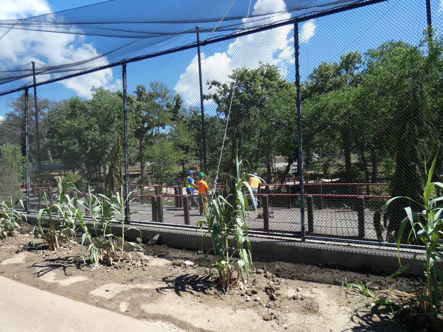 Simmons Aviary (Under Construction) - Jun. 2021