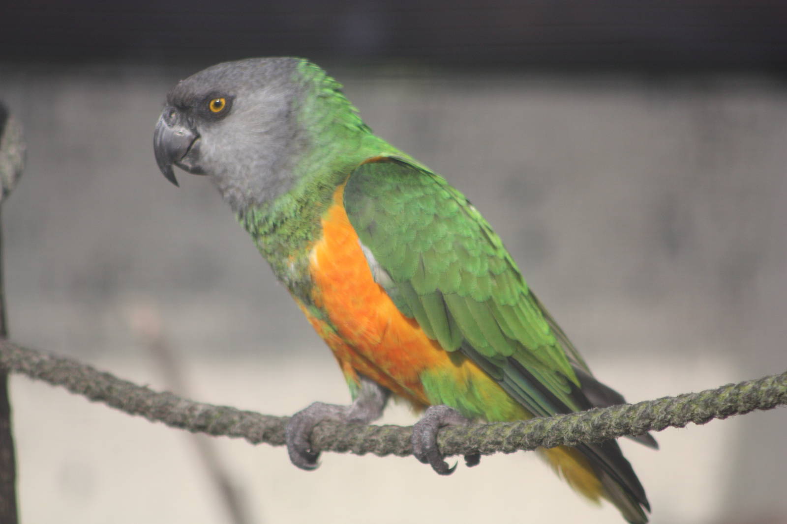 Simon, 16th October 2014