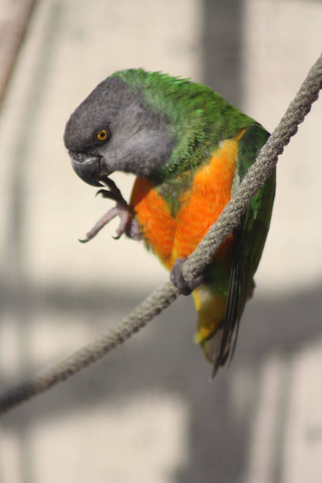 Simon, 16th October 2014