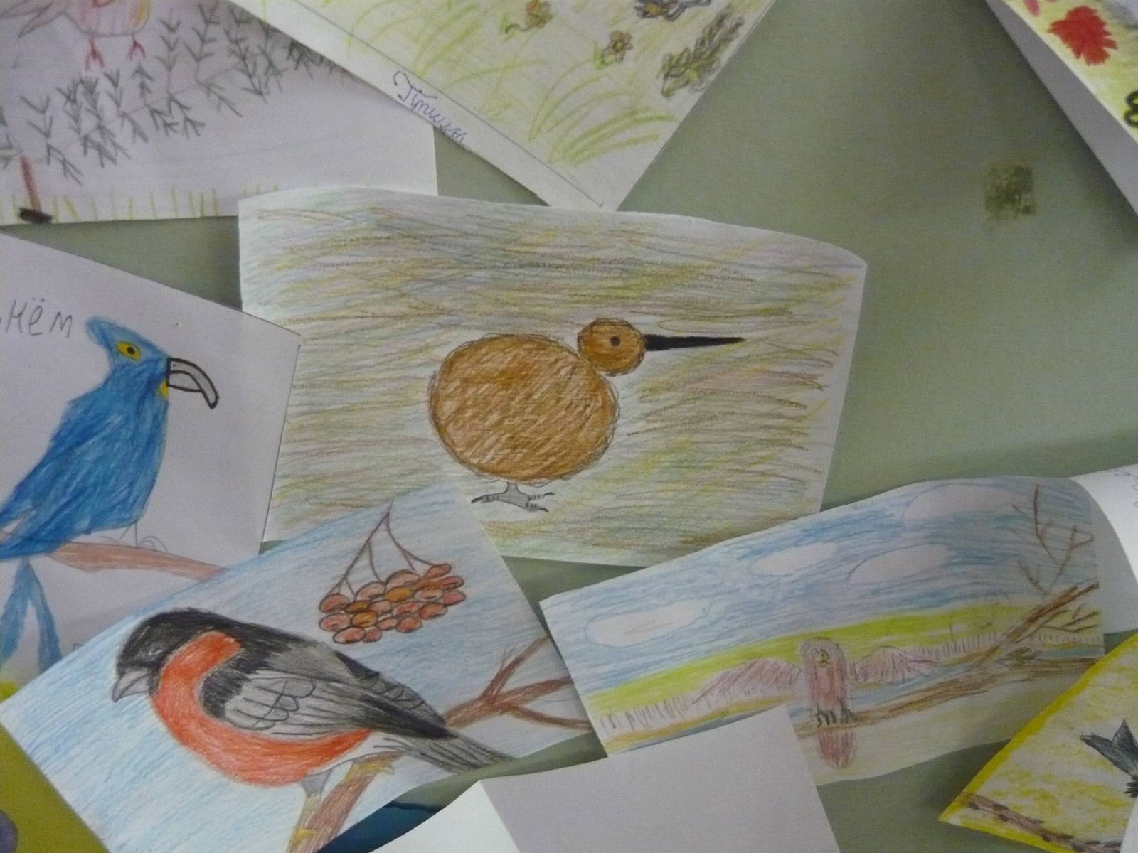 Simplified kiwi bird