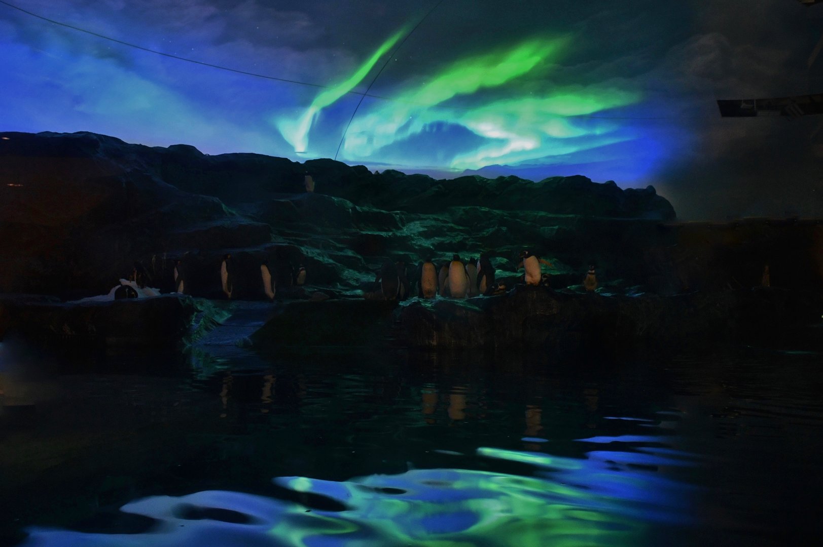 Simulated Aurora Australis at Penguin Cove