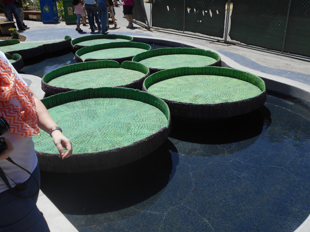 Simulated giant lily pads