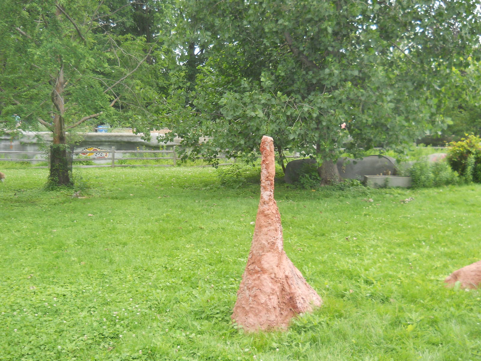 Simulated termite mound in kangaroo exhibit.
