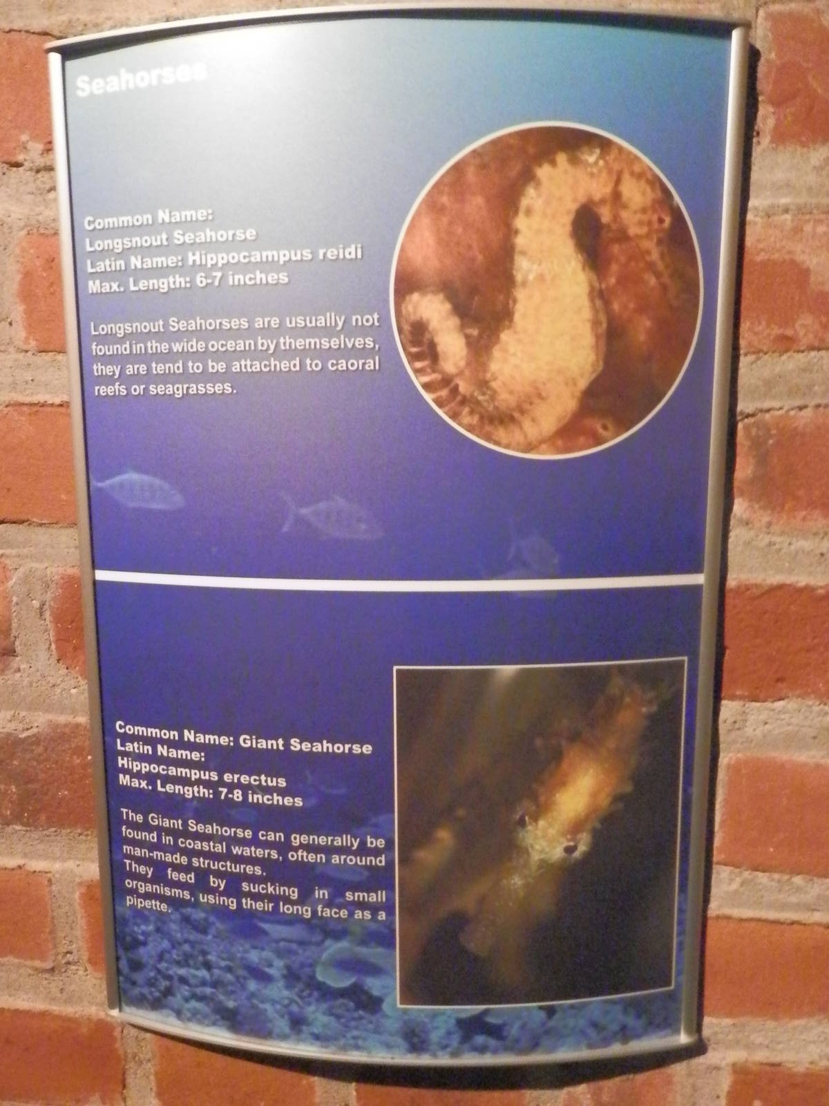 Sinage down the Weird and Wonderful tunnel