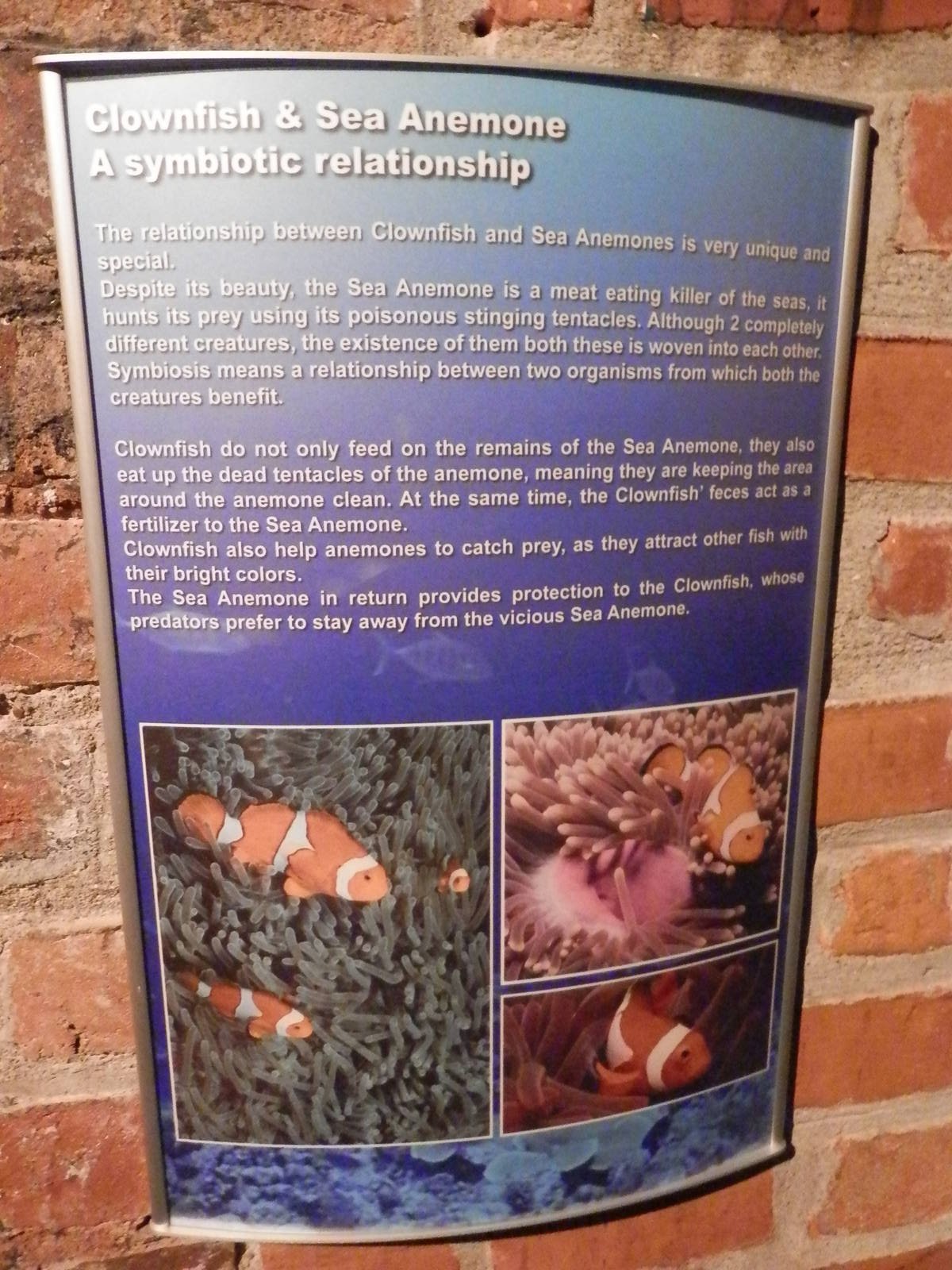 Sinage down the Weird and Wonderful tunnel