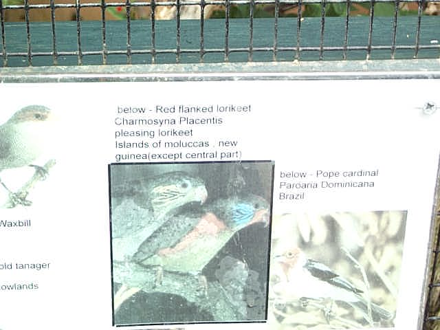 sinage faded inthe sun  2003