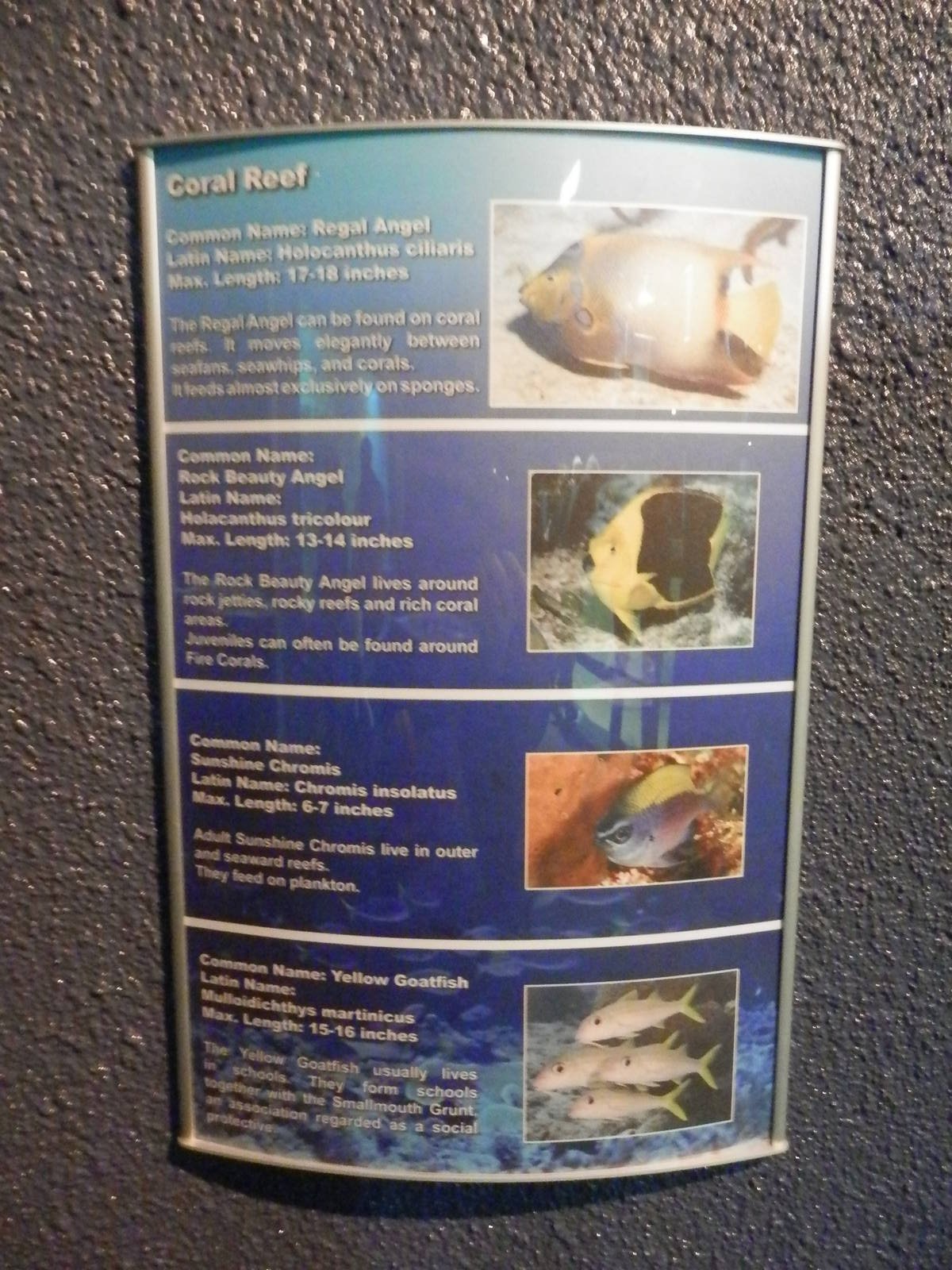 Sinage of tropical tank