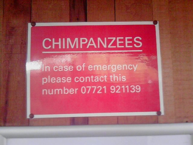 Since when do chimps need a help line??