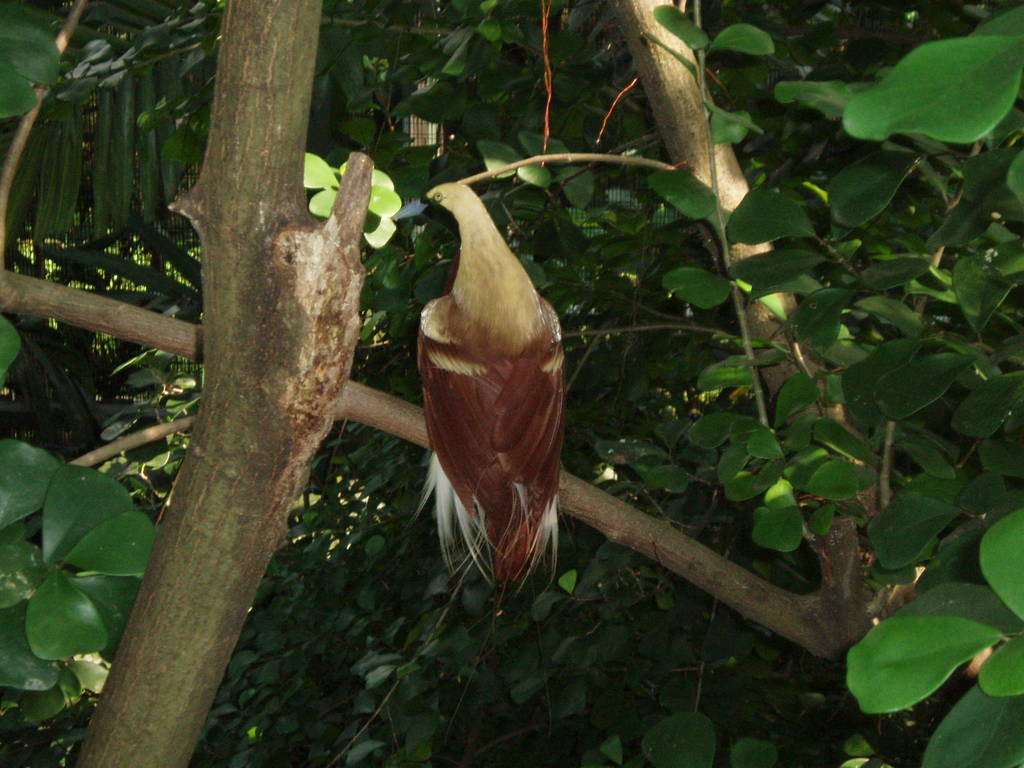 Singapore and Sabah 2005 023