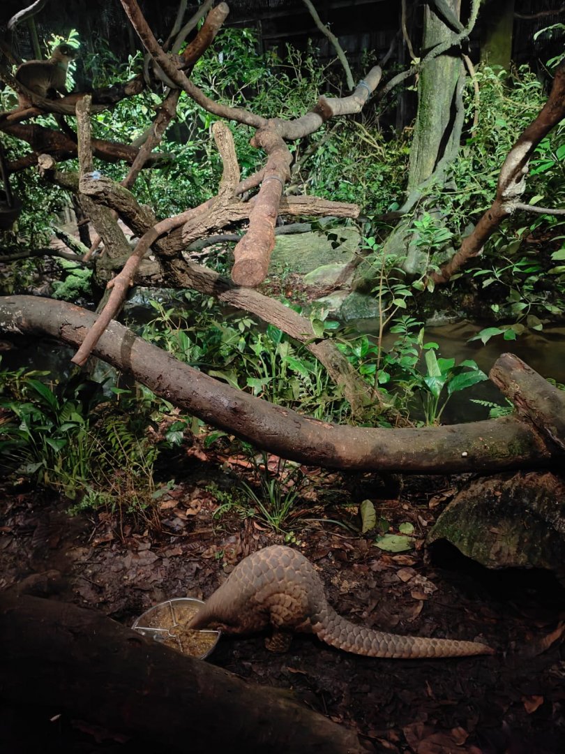 Singapore Natives Exhibit