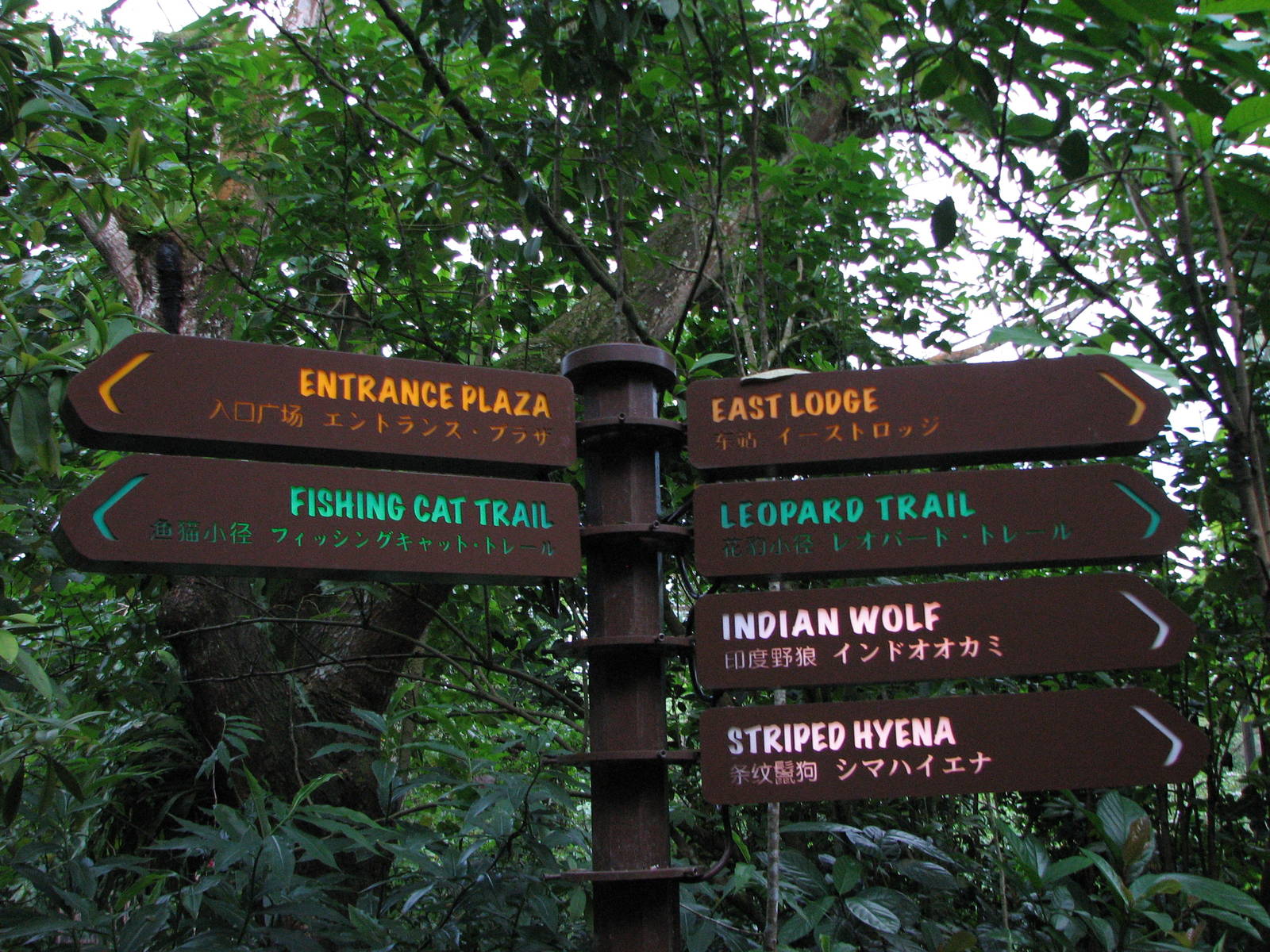 Singapore Night Safari 2008 - Sign post example at the Singapore Night Safa