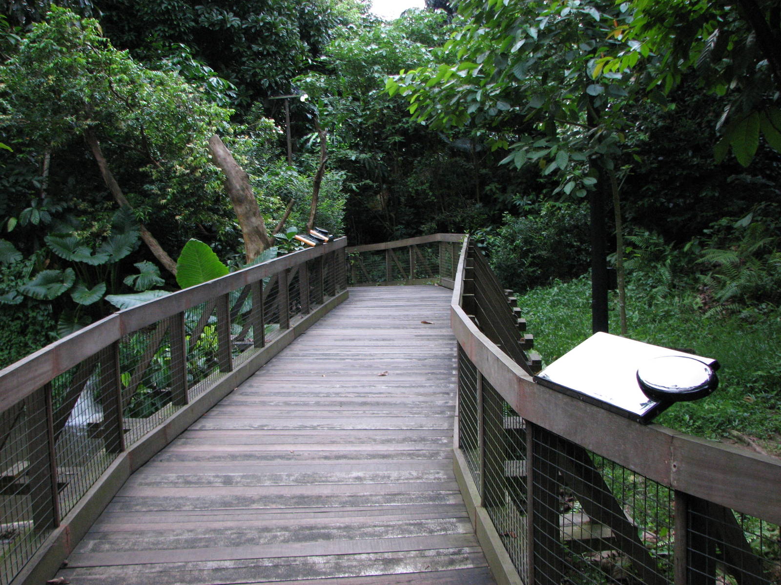 Singapore Night Safari 2008 - Wooden pathway between exhibits