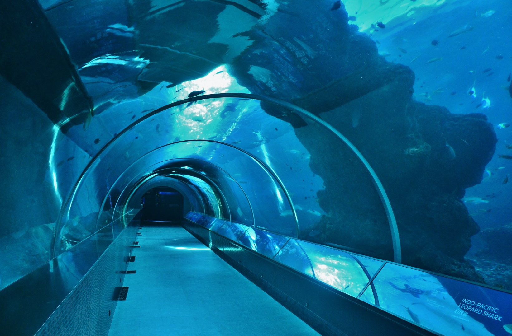 Singapore Oceanarium - Artificial Habitats zone