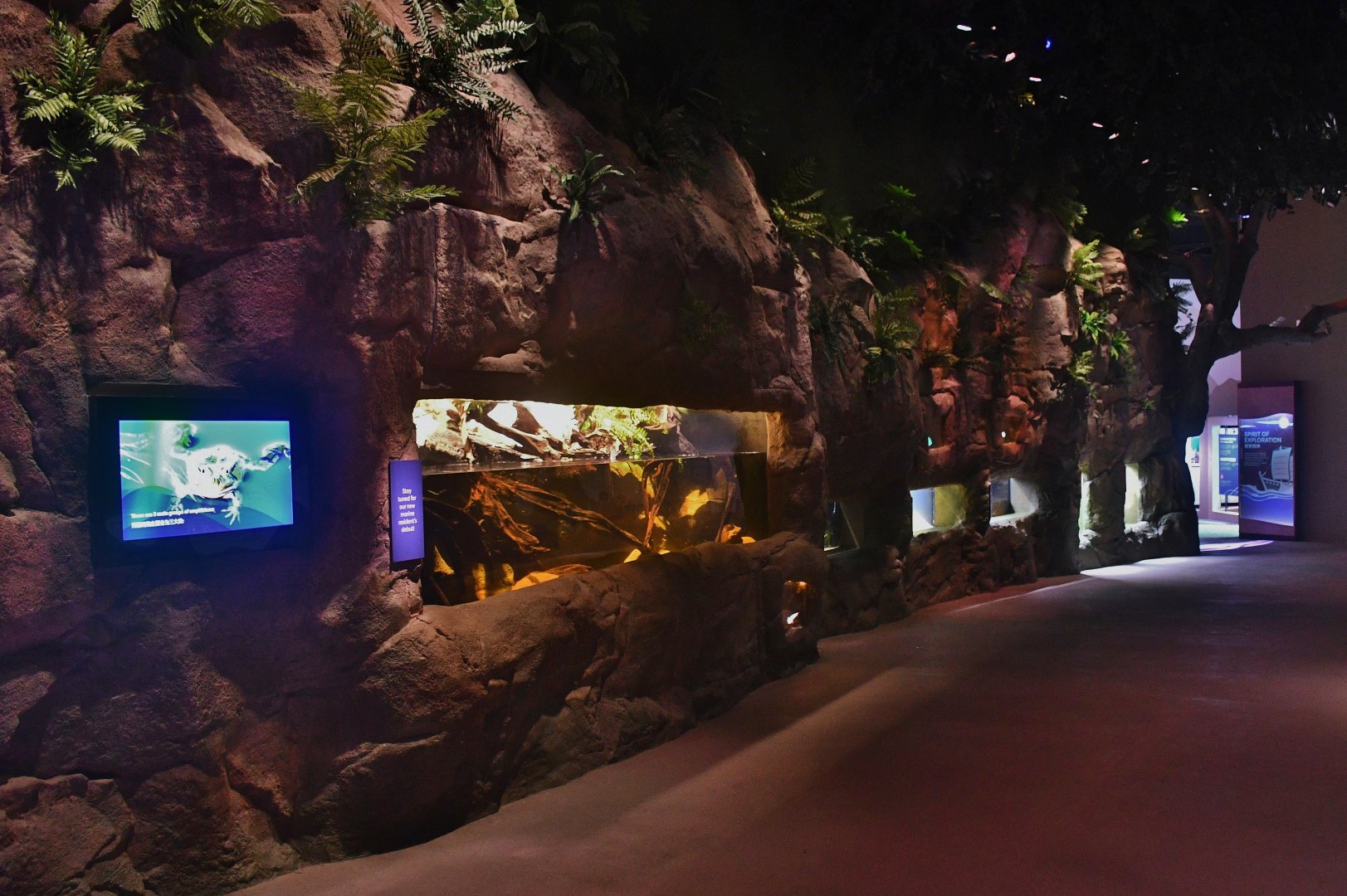 Singapore Oceanarium - Conquering Land zone