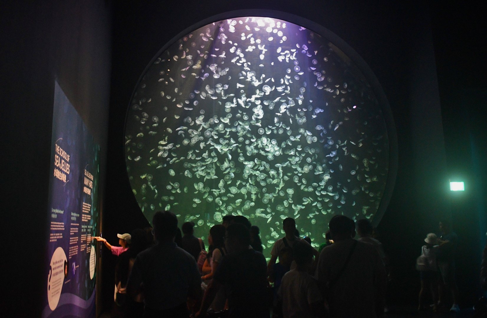 Singapore Oceanarium - Ocean Wonders zone