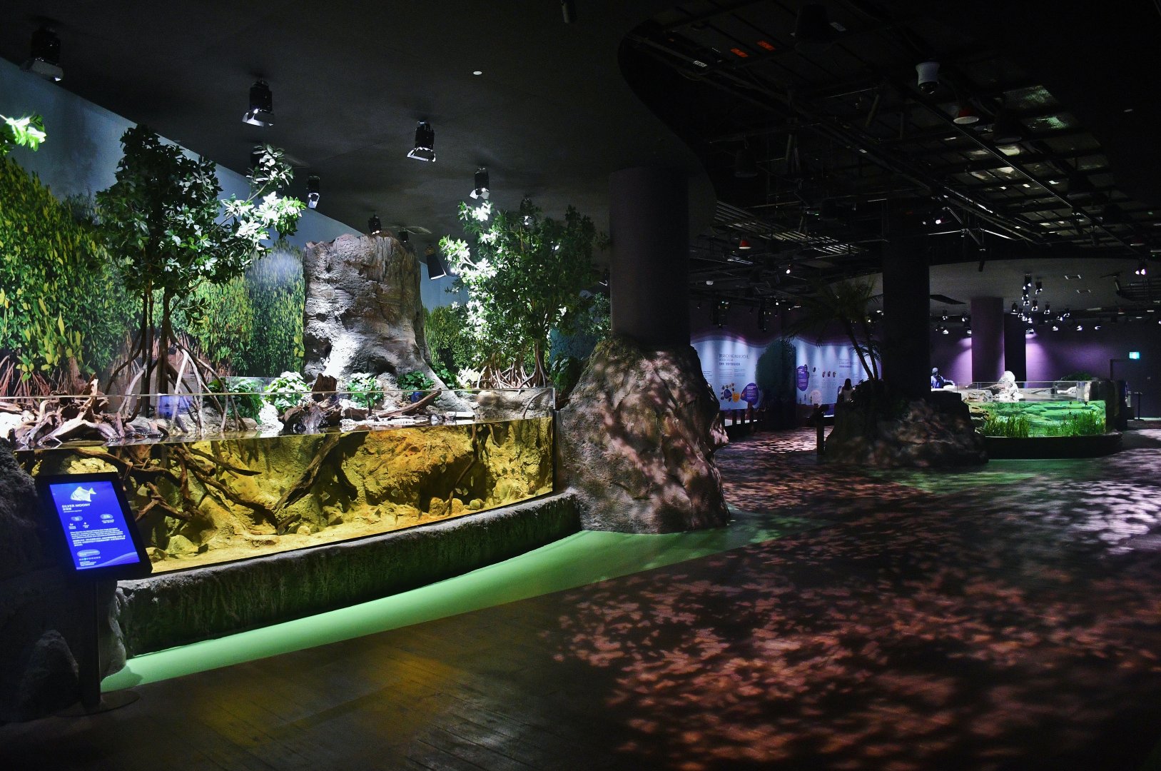 Singapore Oceanarium - Singapore's Coast zone