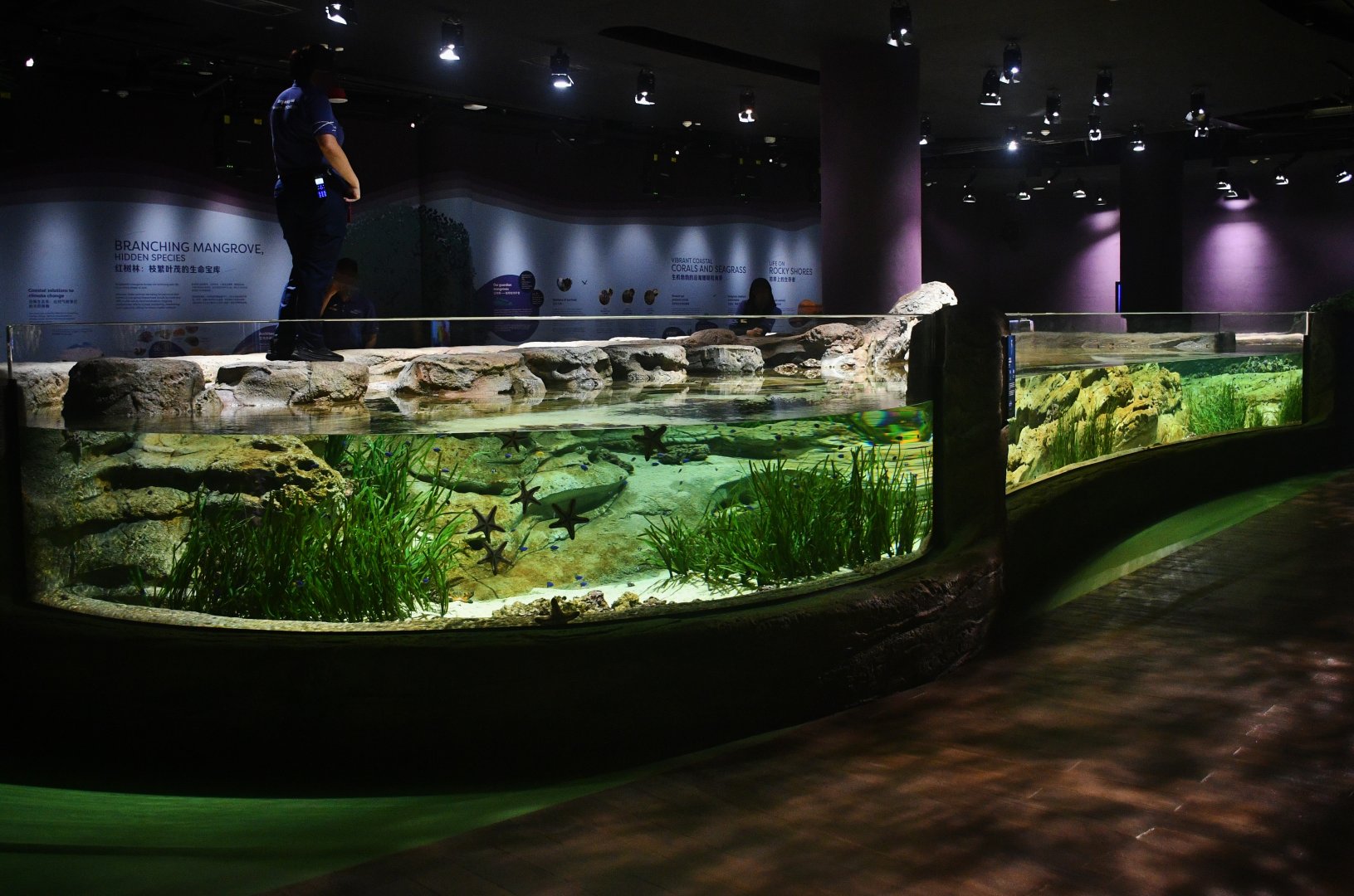 Singapore Oceanarium - Singapore's Coast zone