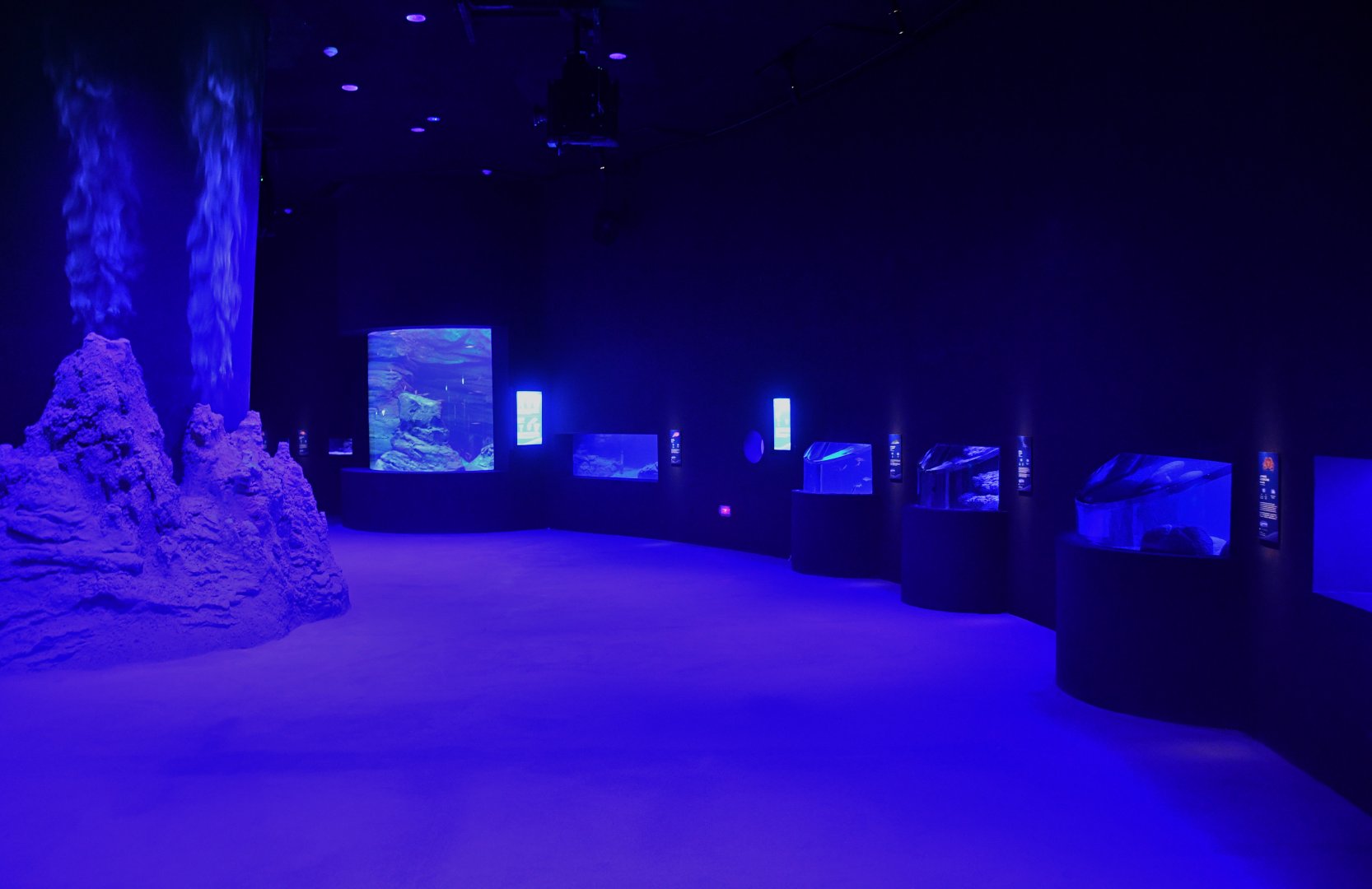 Singapore Oceanarium - Whale Fall and Seamount zone