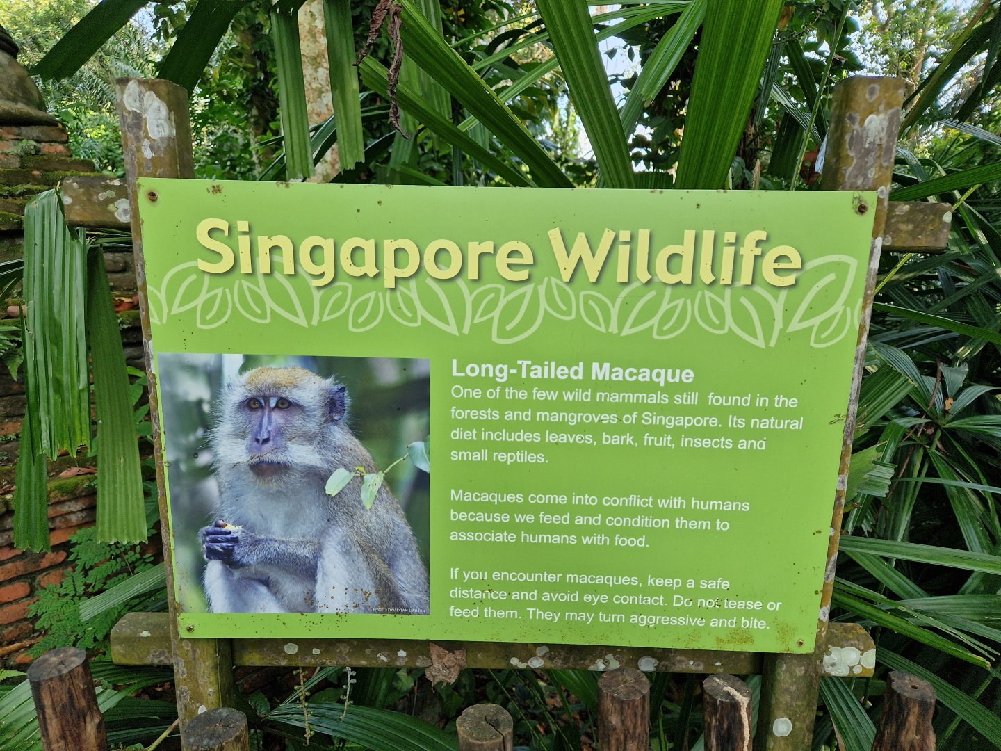 Singapore Wildlife sign