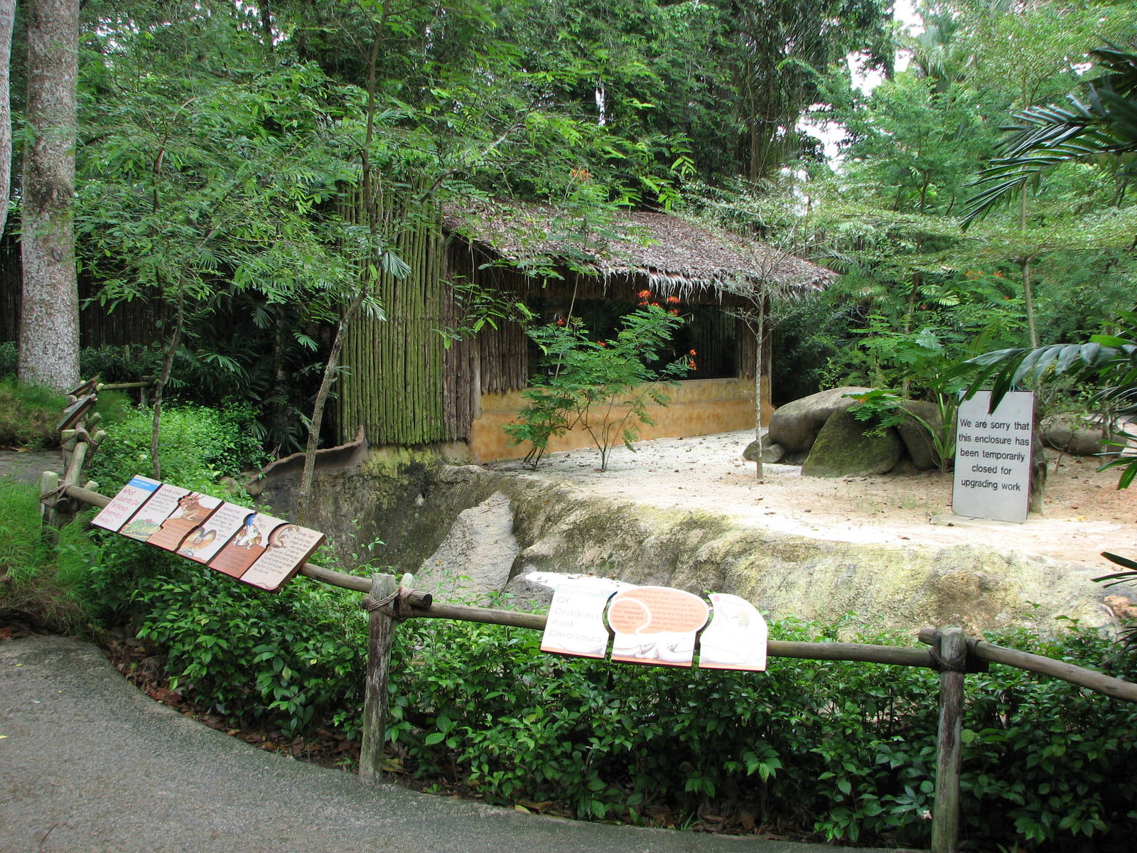 Singapore Zoo 2008 - Another Komodo Dragon exhibit