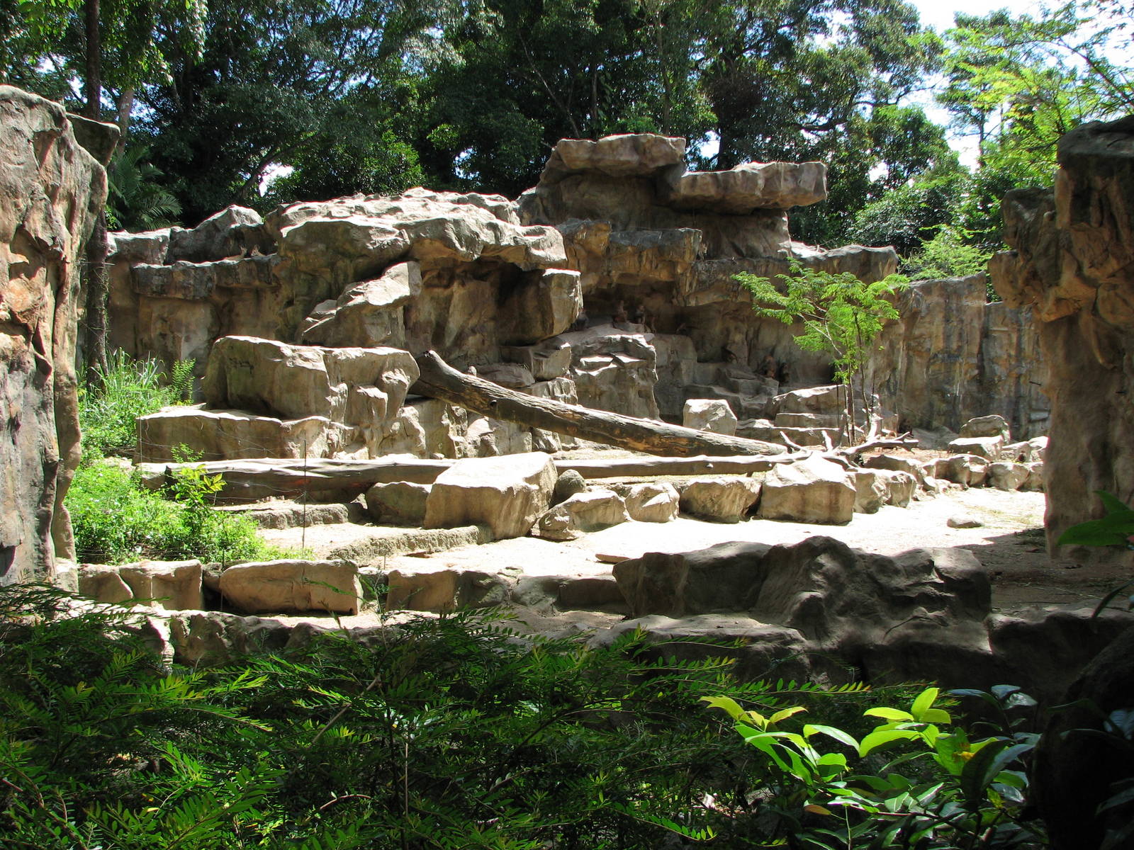 Singapore Zoo 2008 - Another part of exhibit for Nubian Ibex and Hamadryas