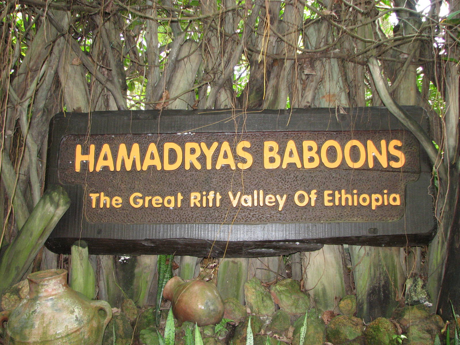Singapore Zoo 2008 - Beautiful sign for the Great Rift Valley of Ethiopia